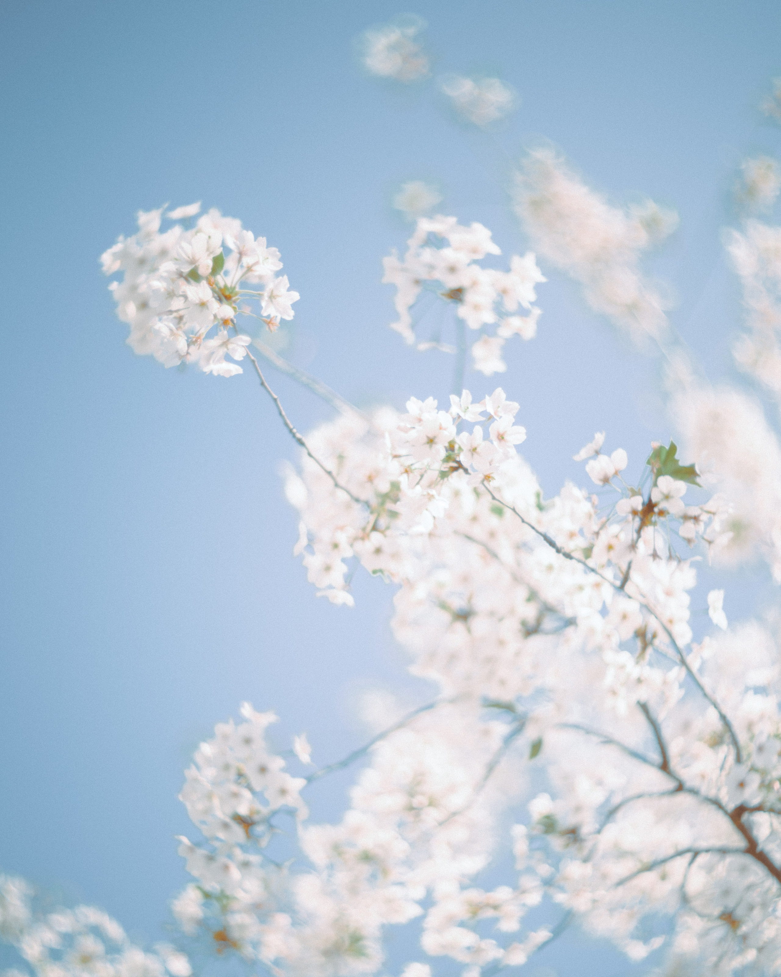 Nature. Артем Корнев Фотограф