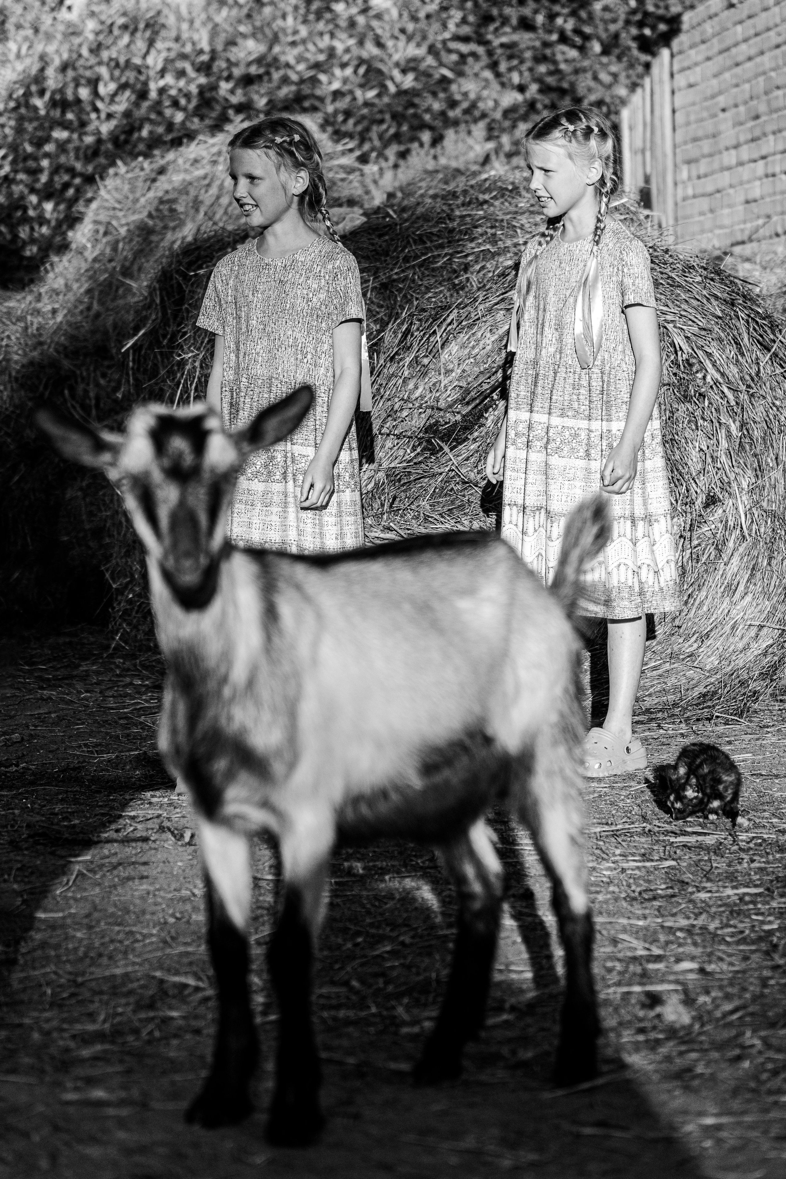 Ч.б. фотографии. Фотографии Лены Соколовой