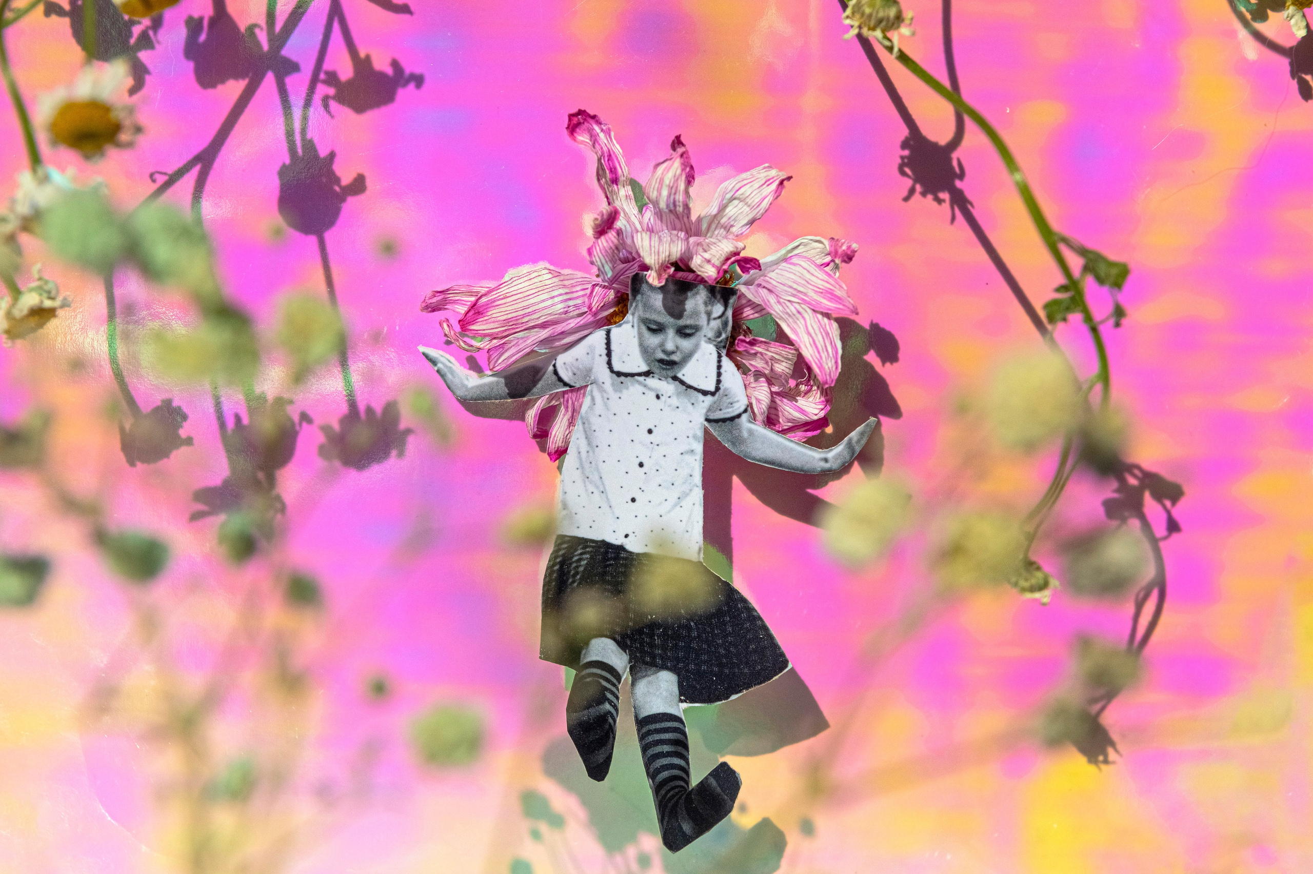 Color photographs. Artisistic photographs of Lena Sokolova