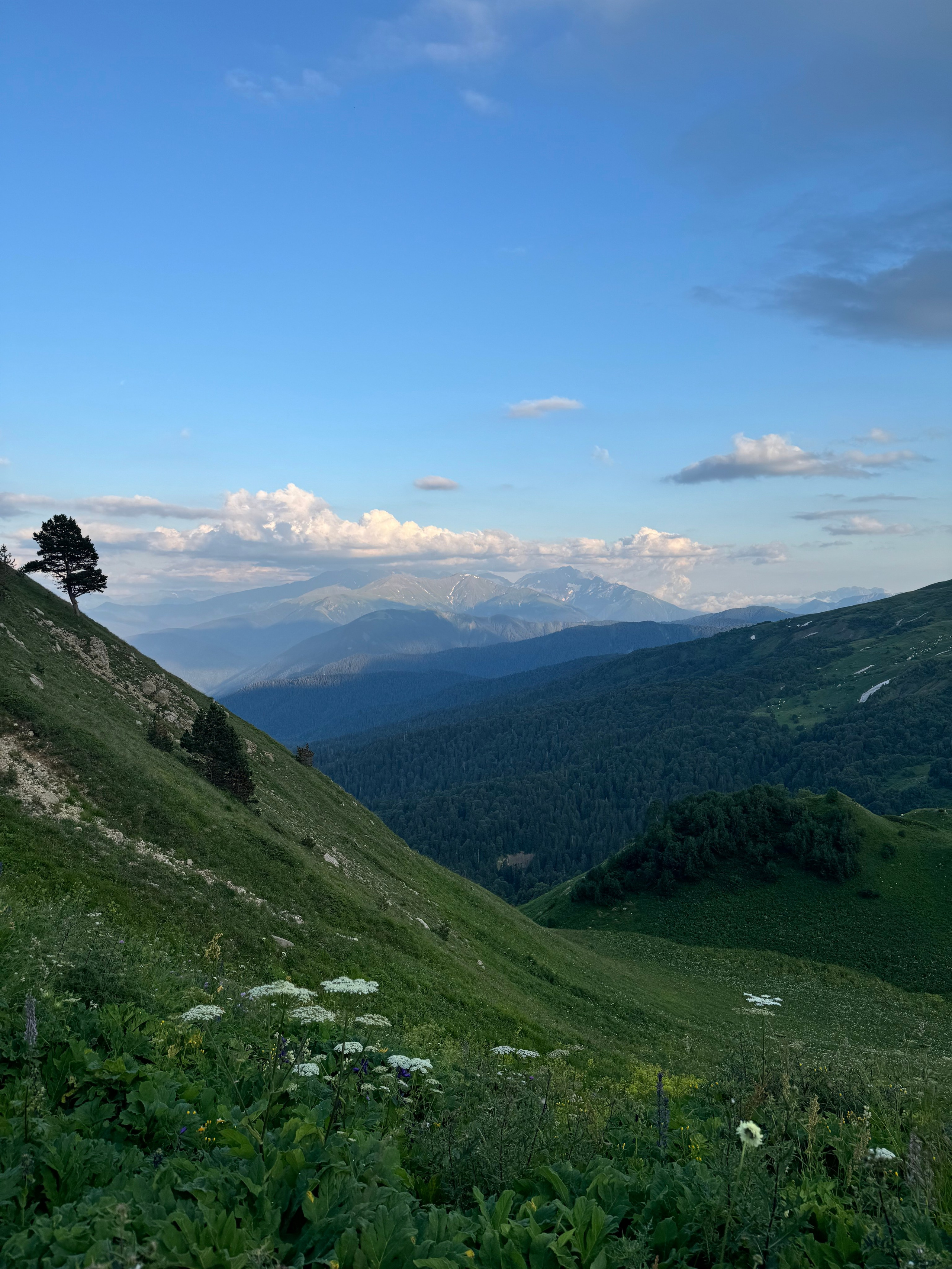 Поезки по красивым местам. Фотограф Гуамка Апшеронск Майкоп