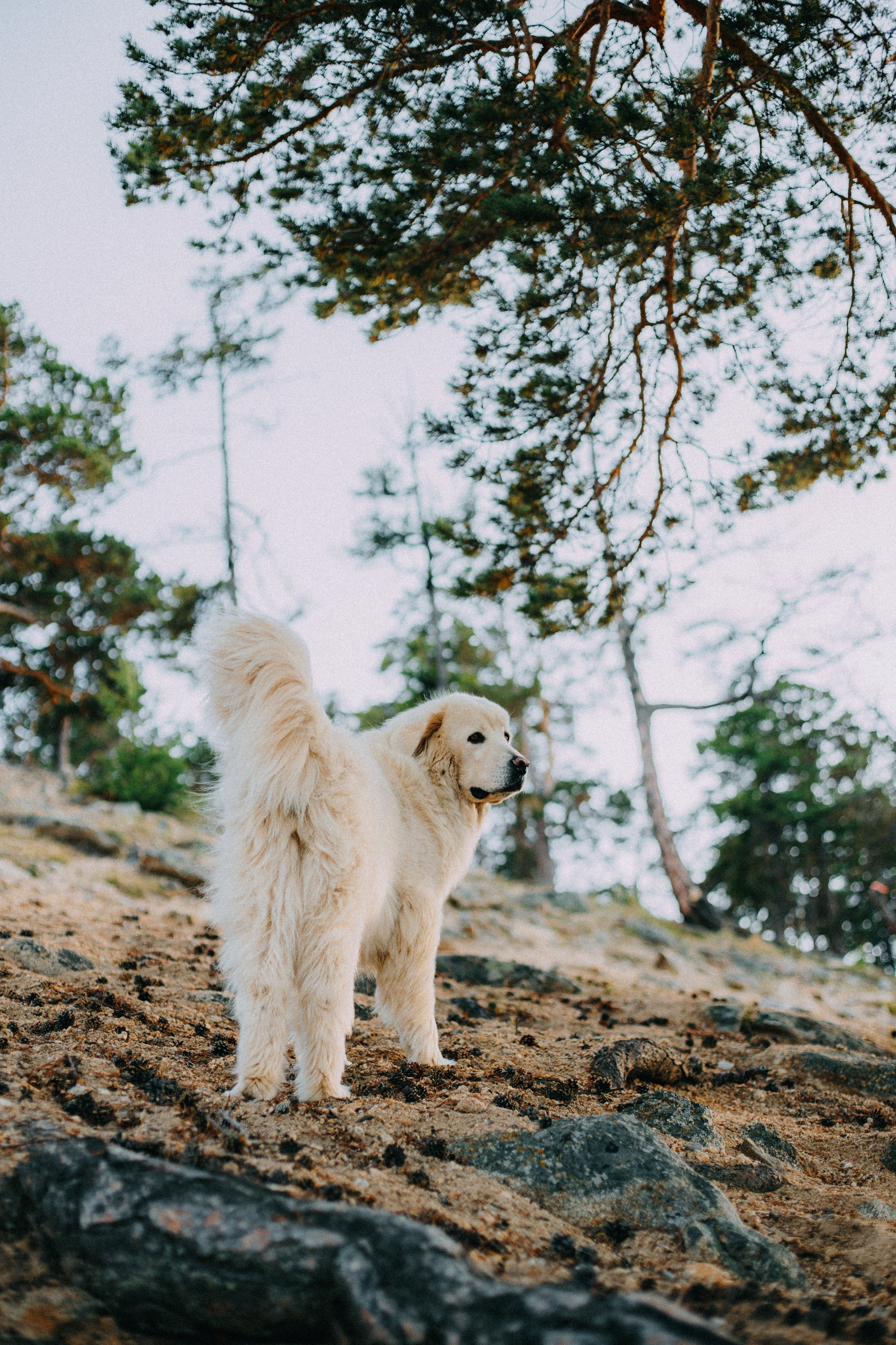 Василина, Костя и Проня. Фотограф Ольхон/ Индия, Регина