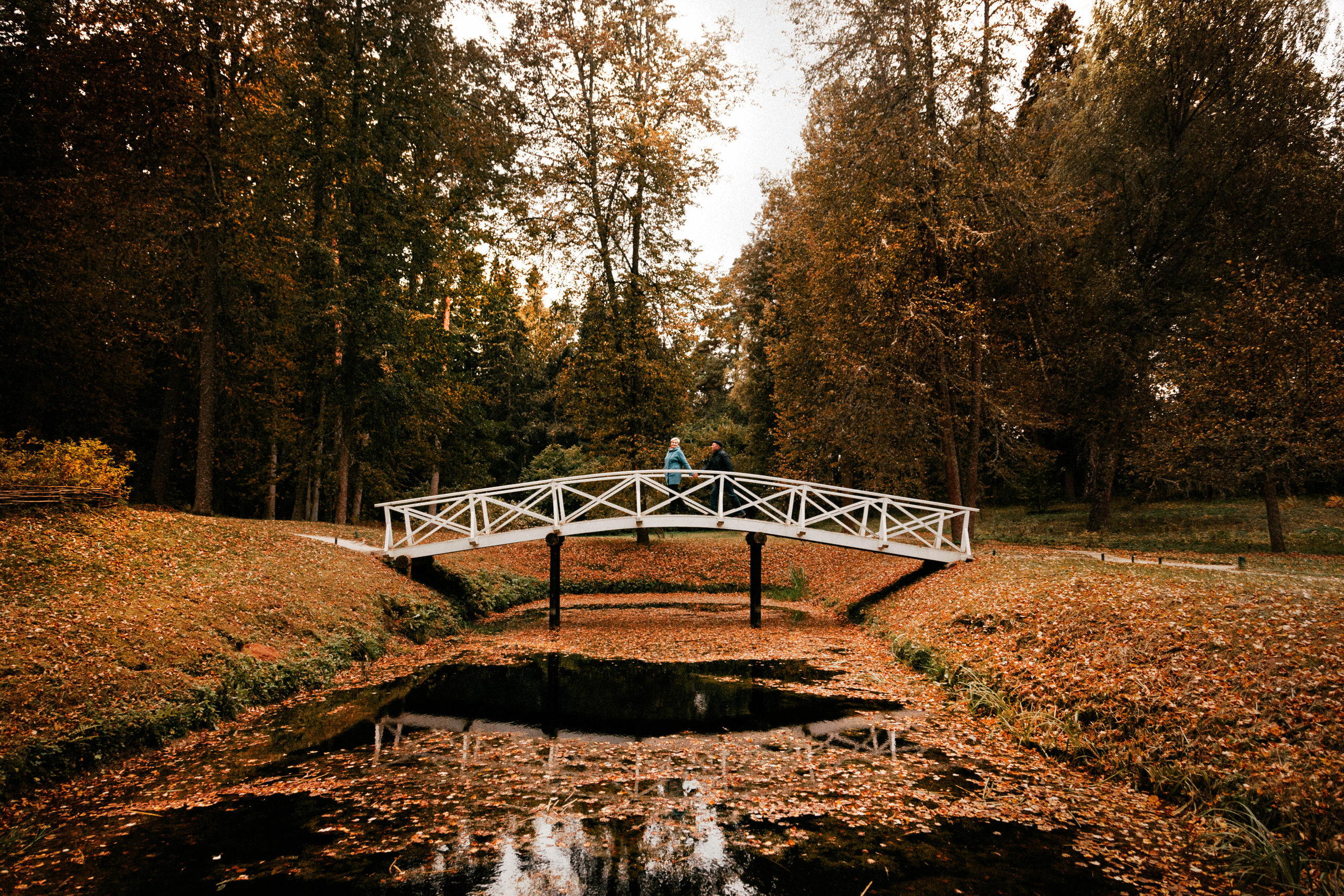 Михайловское. Свадебный фотограф в Пскове и Санкт-Петербурге | Анна Голикова