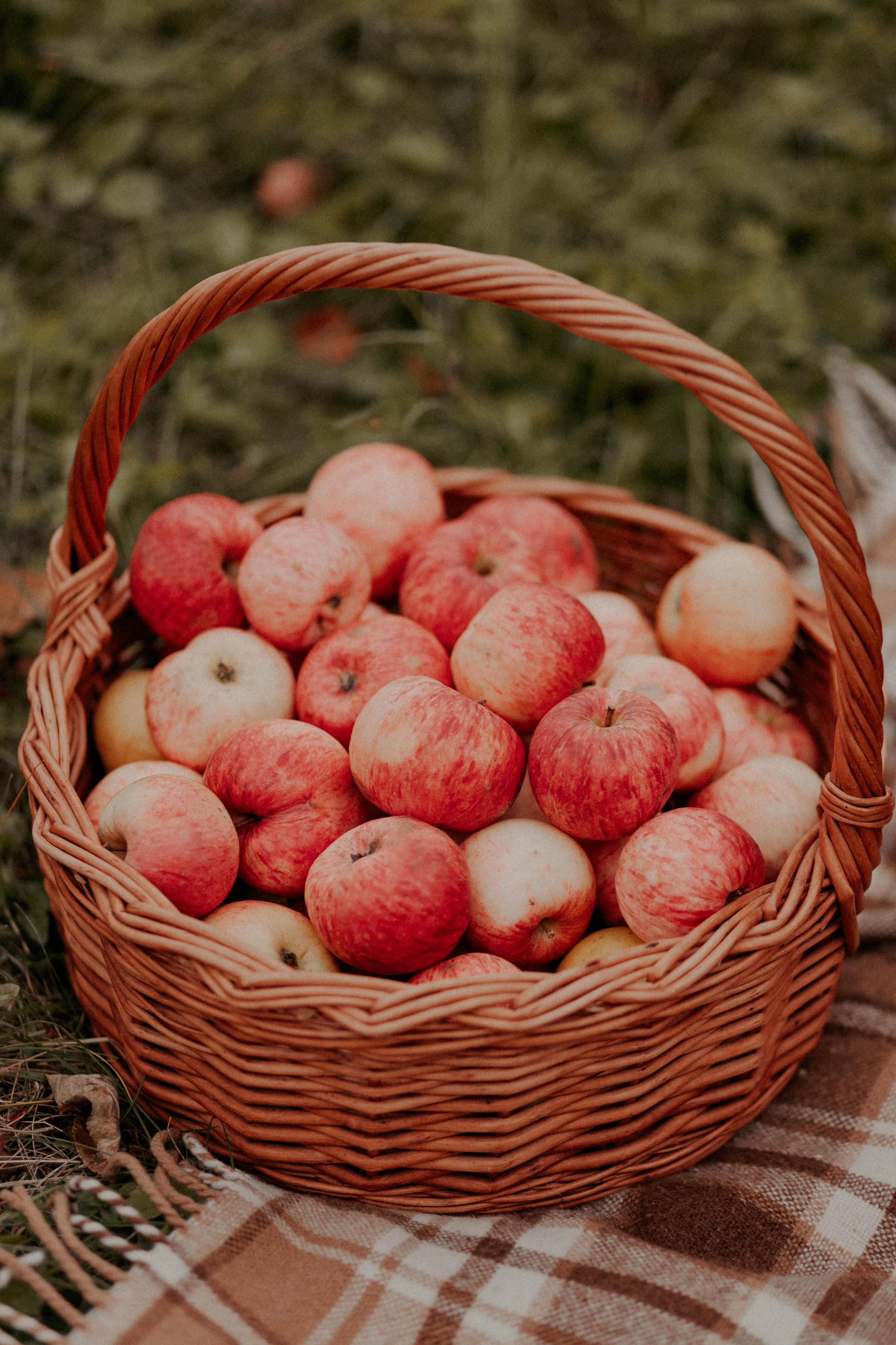 Михайловское. Свадебный фотограф в Пскове и Санкт-Петербурге | Анна Голикова
