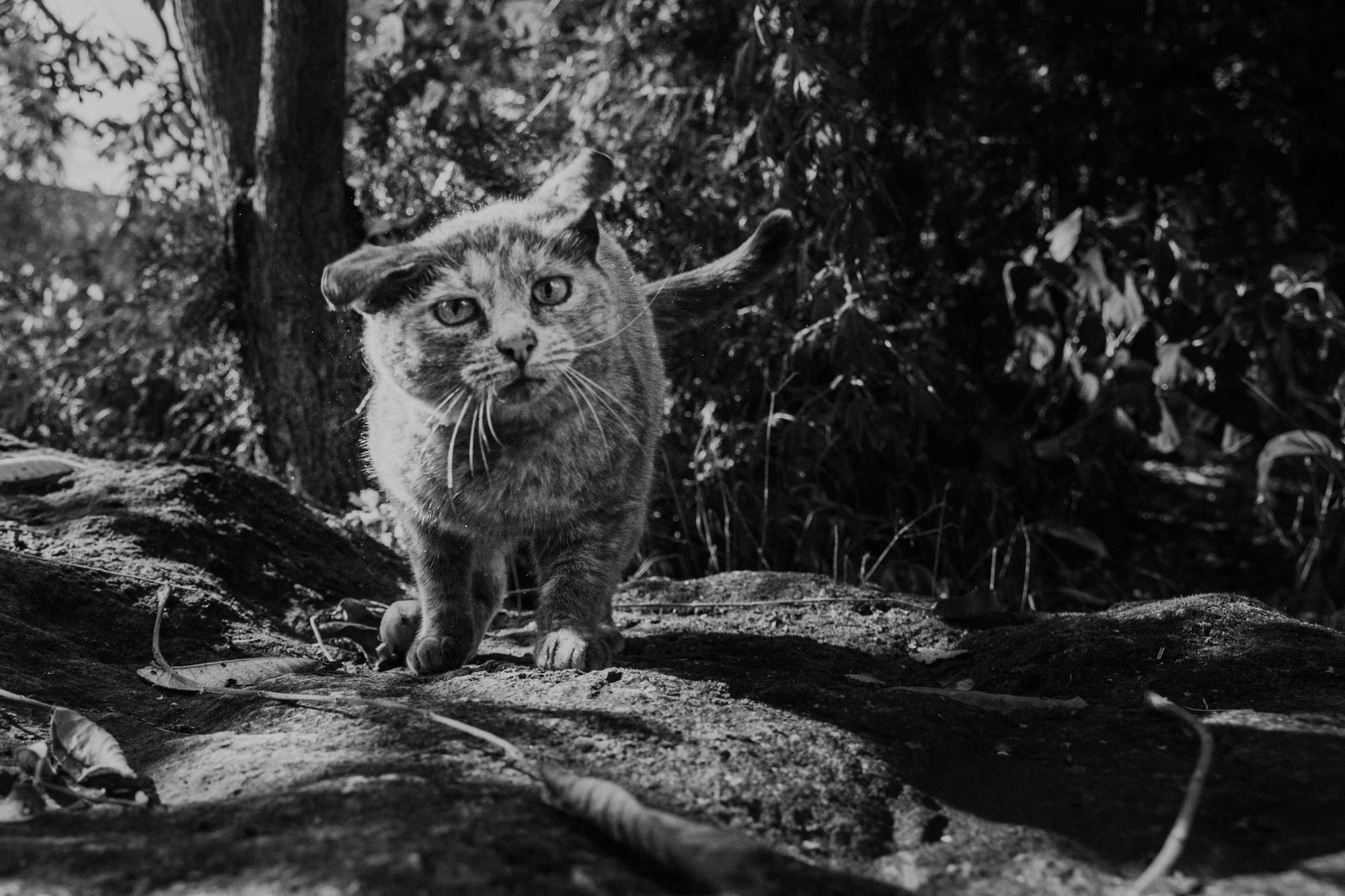 Свадьба Виталий и Мария. Творческий фотограф в Москве Наталья Ермолова