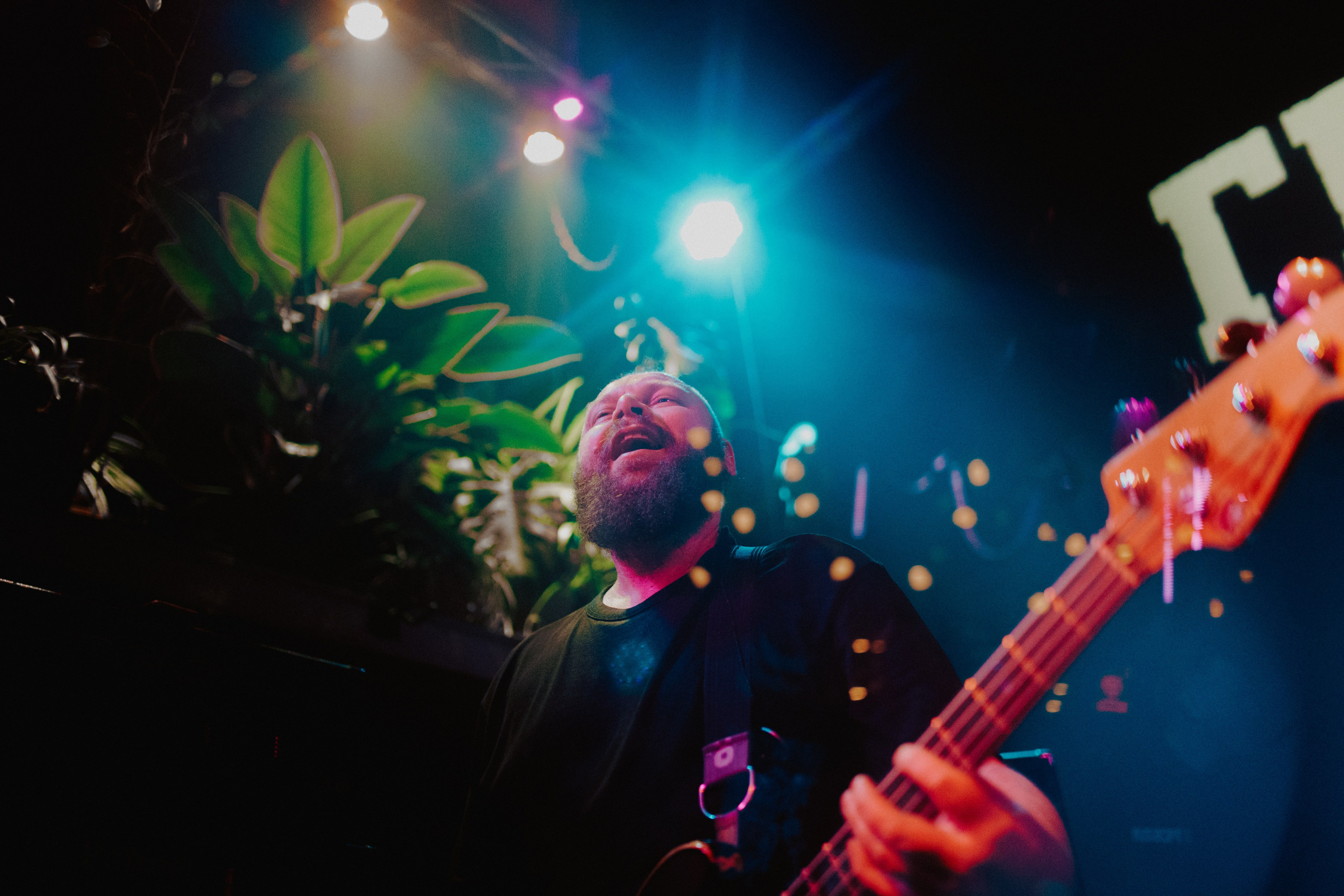 ГРЕБЛЯ. Фотограф Елена Богачева (lenalena_na_na_na)