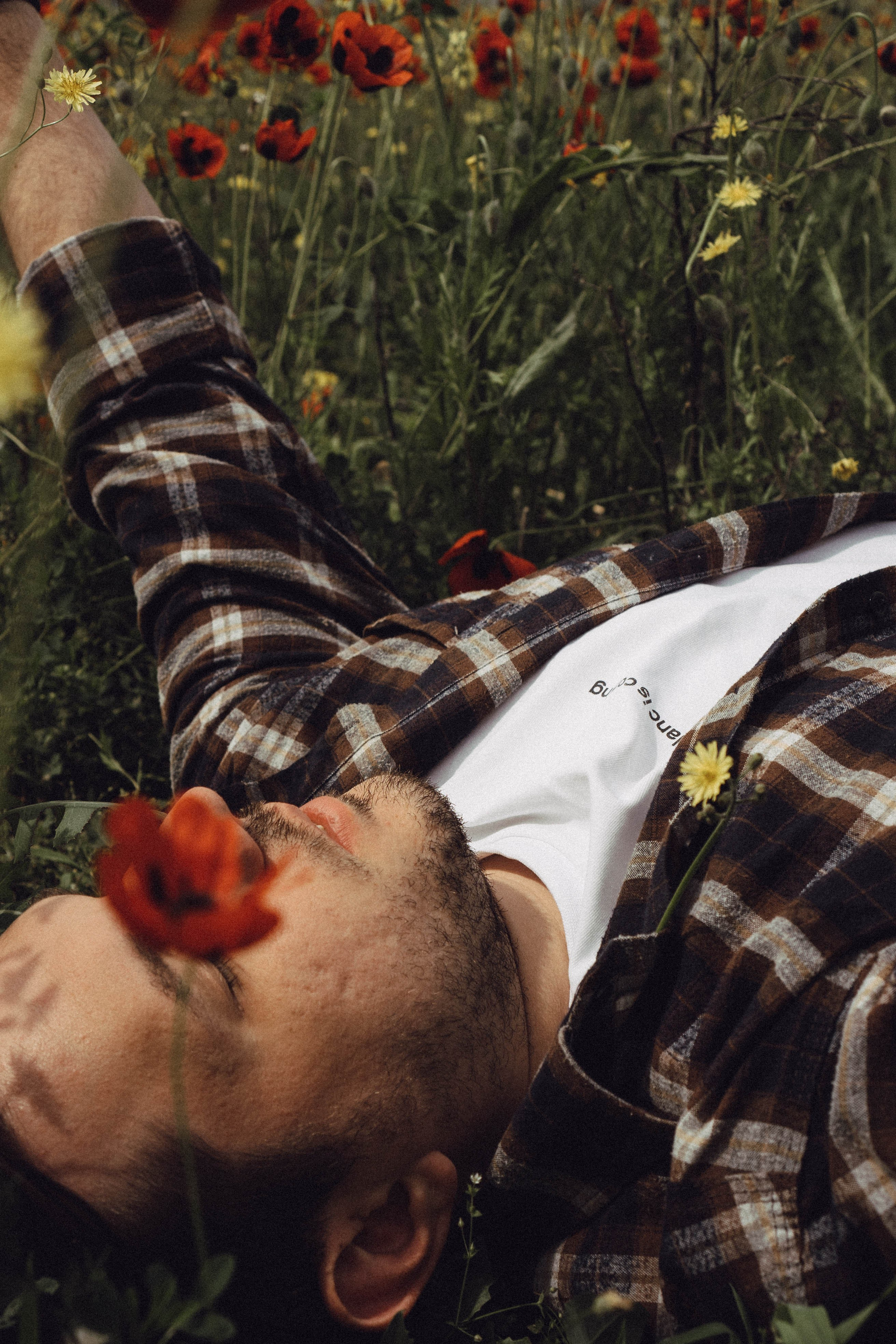 Маки. Профессиональный фотограф, Санкт-Петербург — Виктория Богомолова