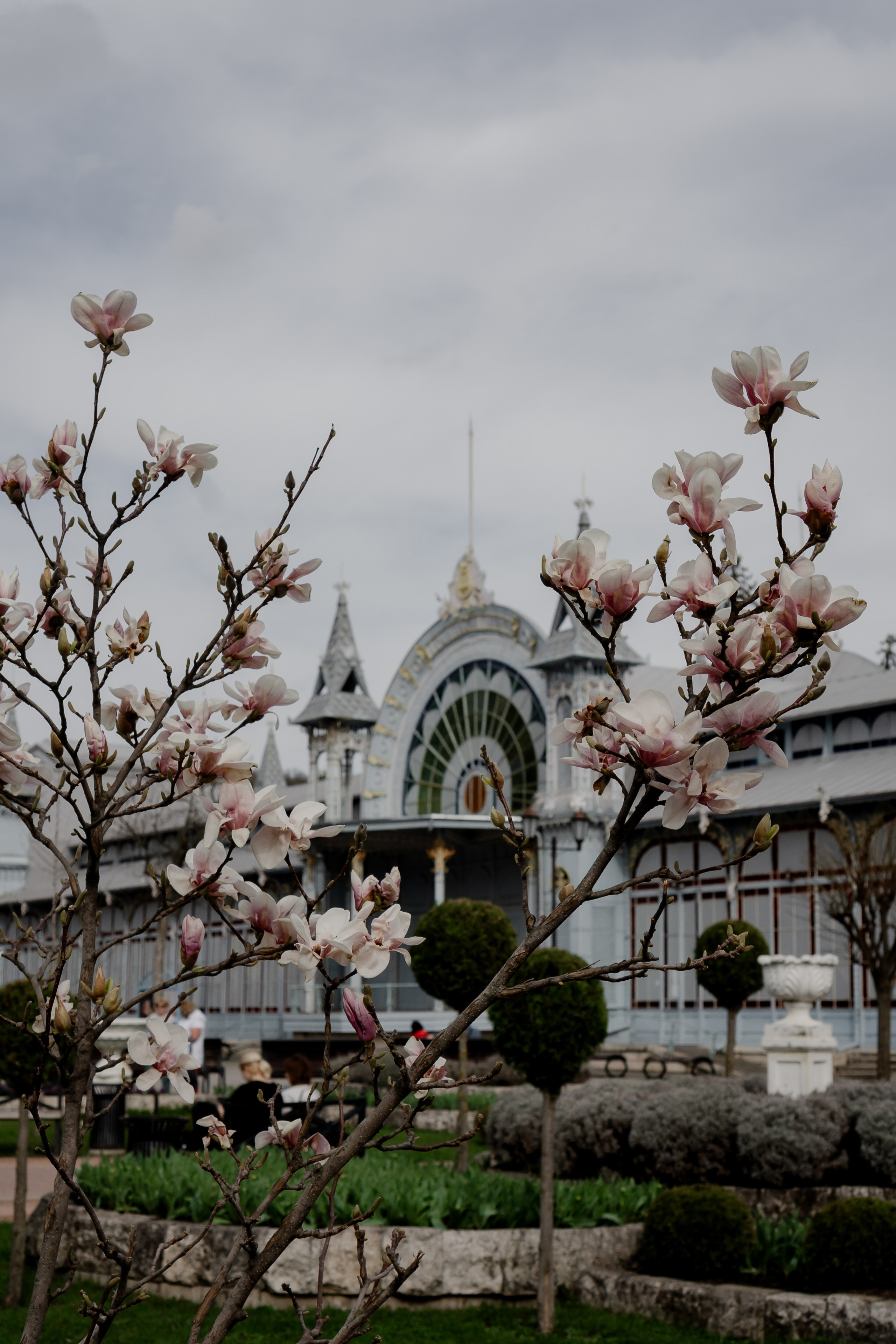 ПЯТИГОРСК. Профессиональный фотограф, Санкт-Петербург — Виктория Богомолова