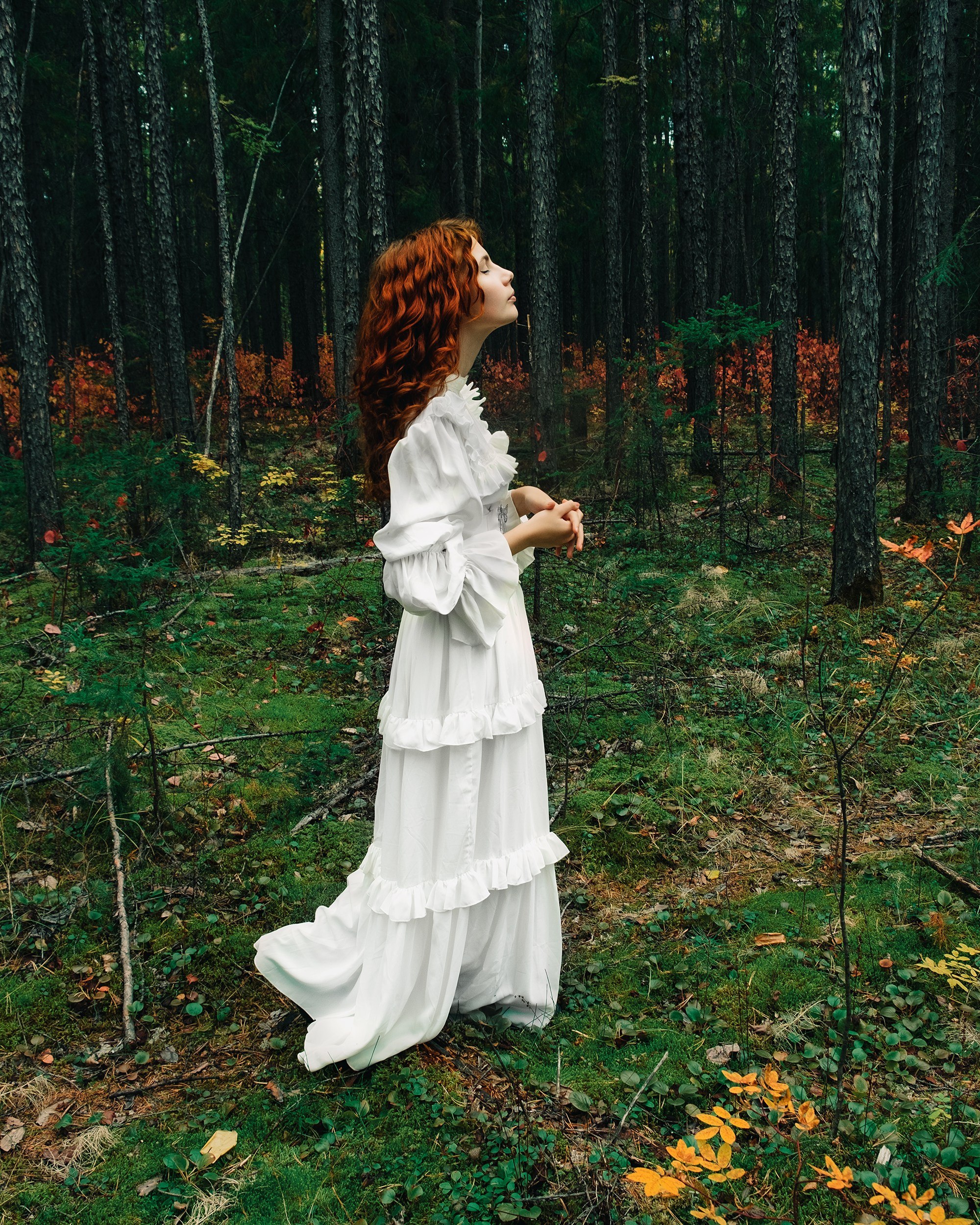 Осень. ФОТО