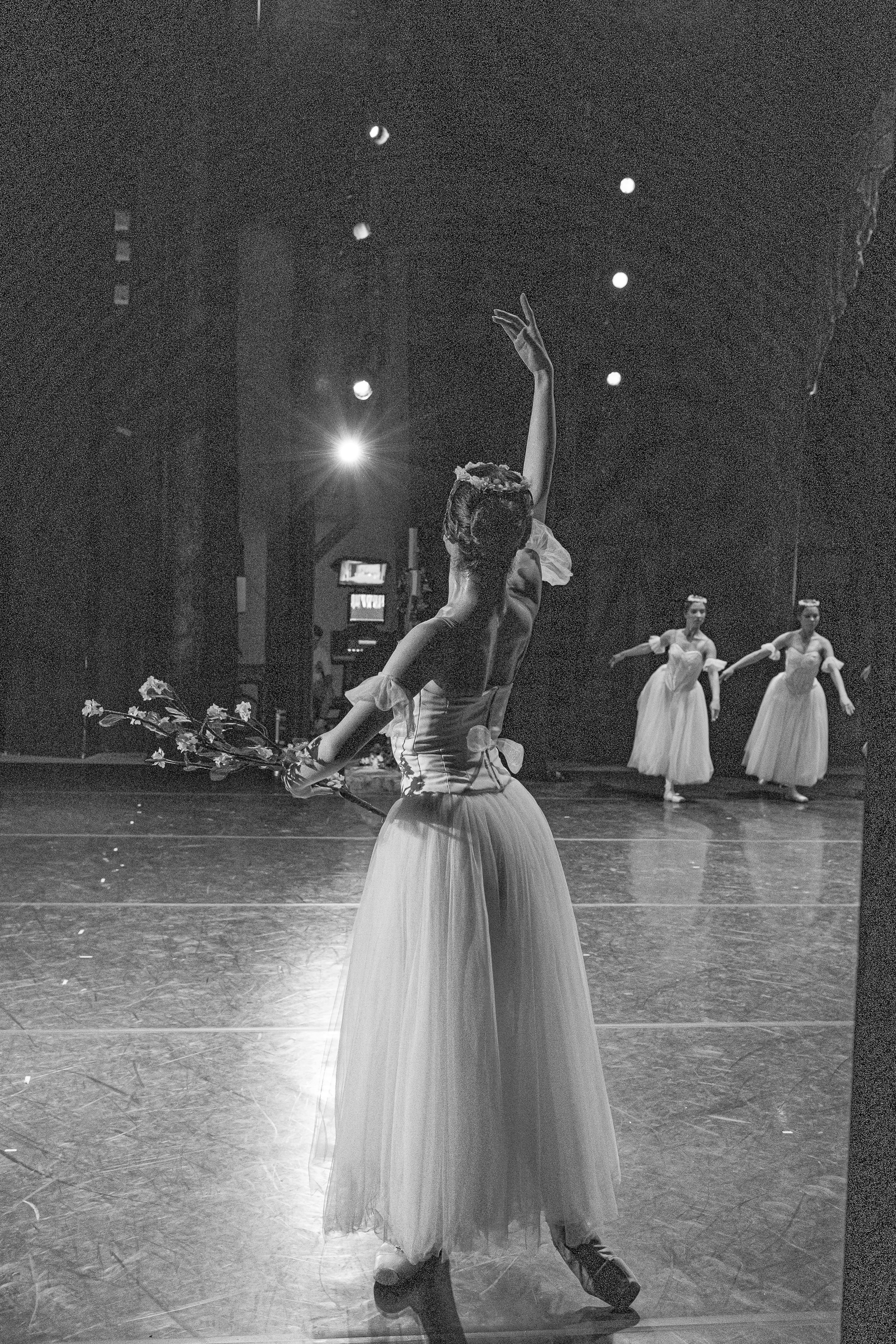 Концерты. Семейный фотограф в Абакане Любовь Халявина