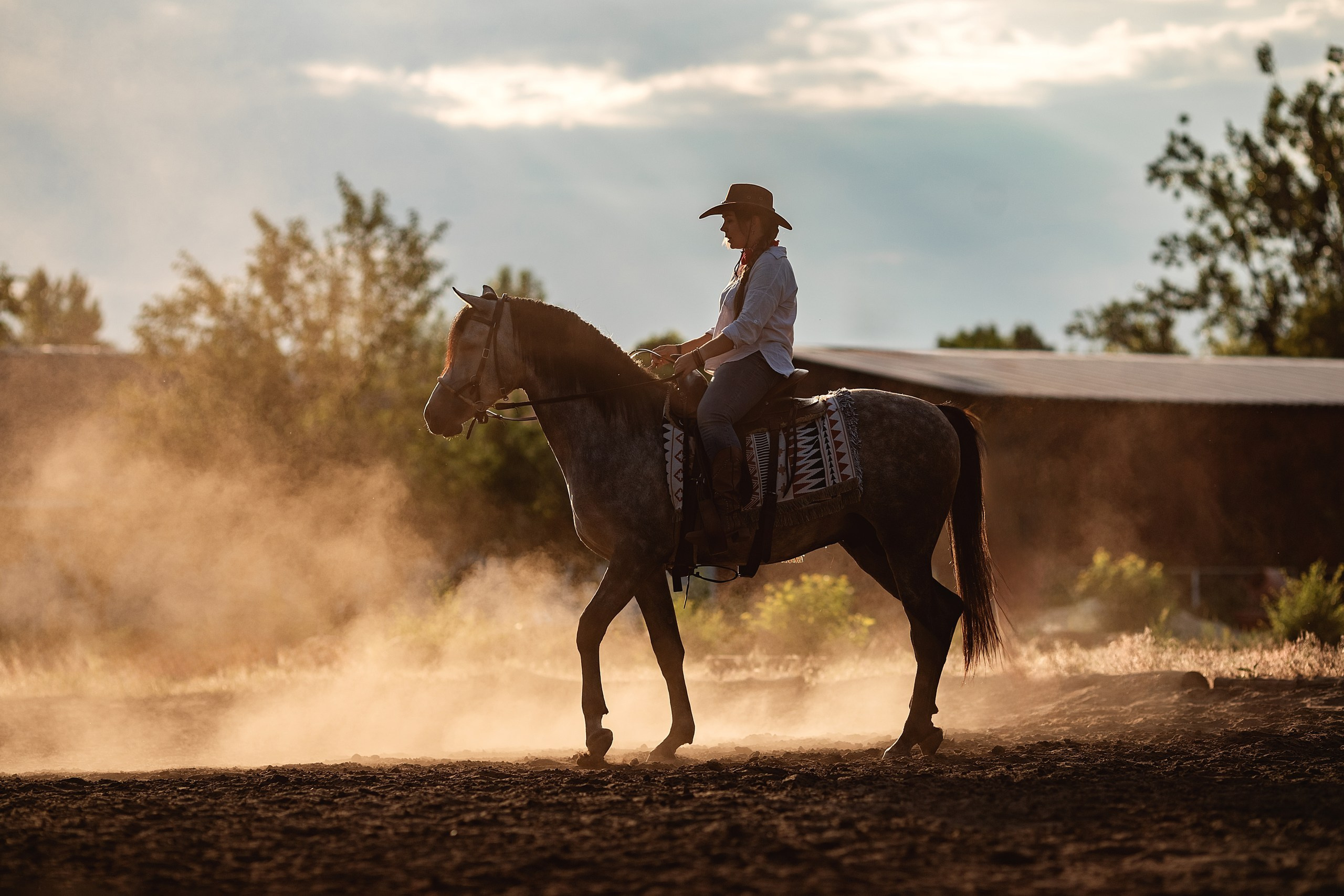 Ковбои. BrisArts