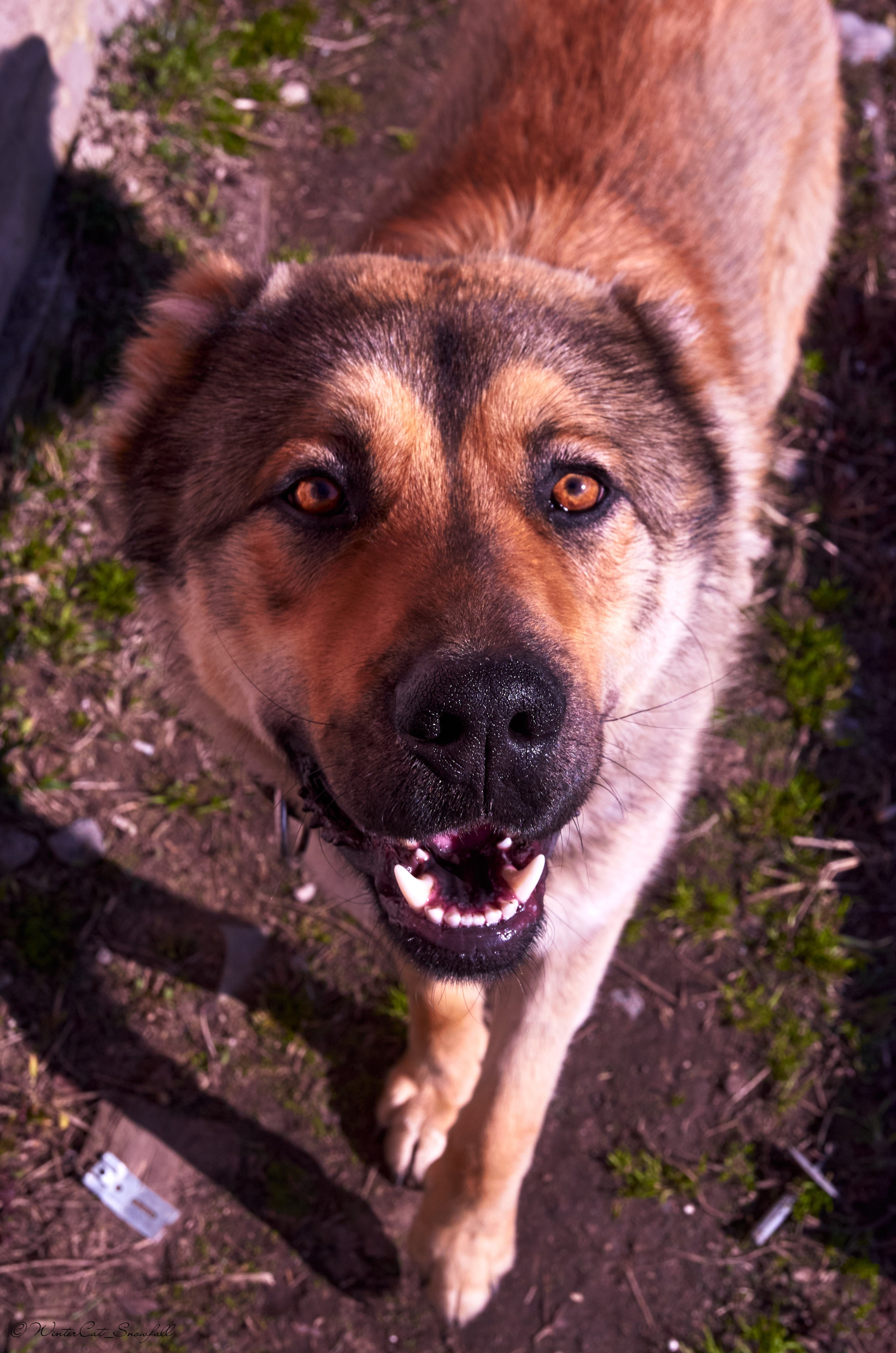 Съемки. Портретный и репортажный фотограф в Магадане Андрей Нефедов WinterCatPhoto