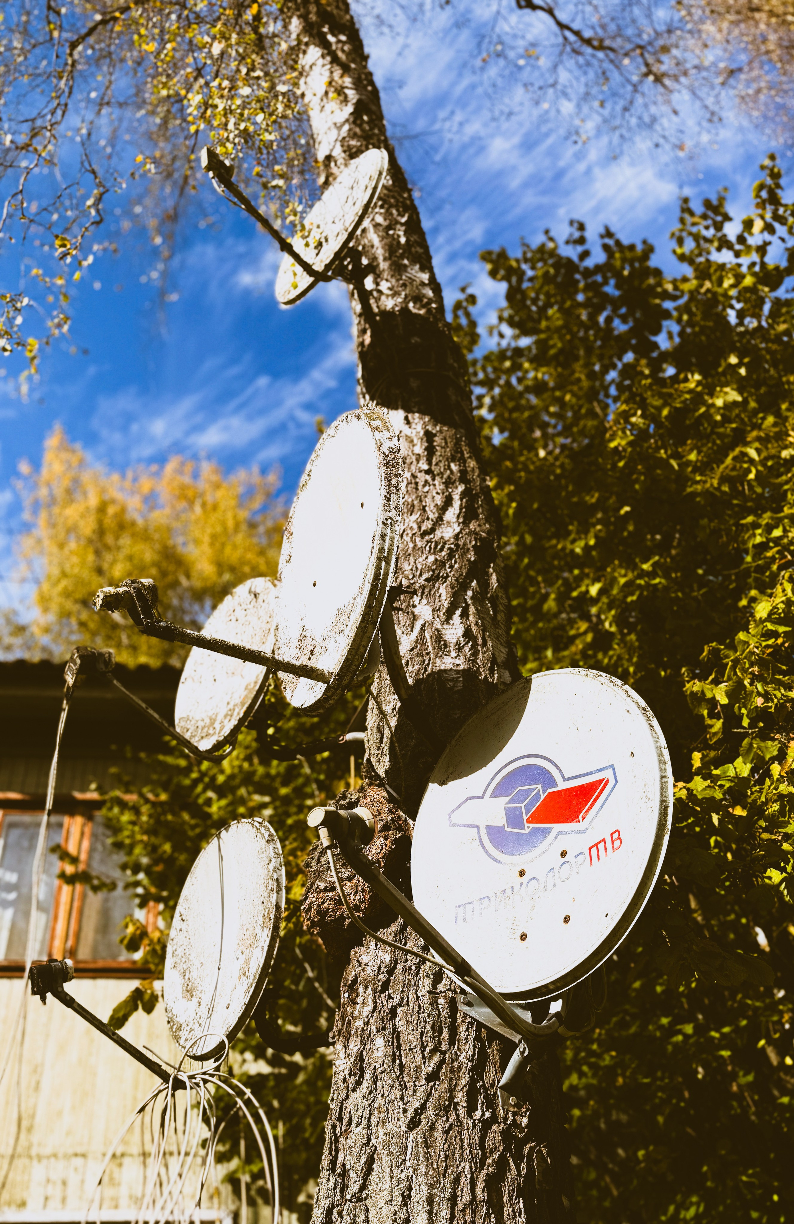 Уличный. Фотограф Арсений Королев