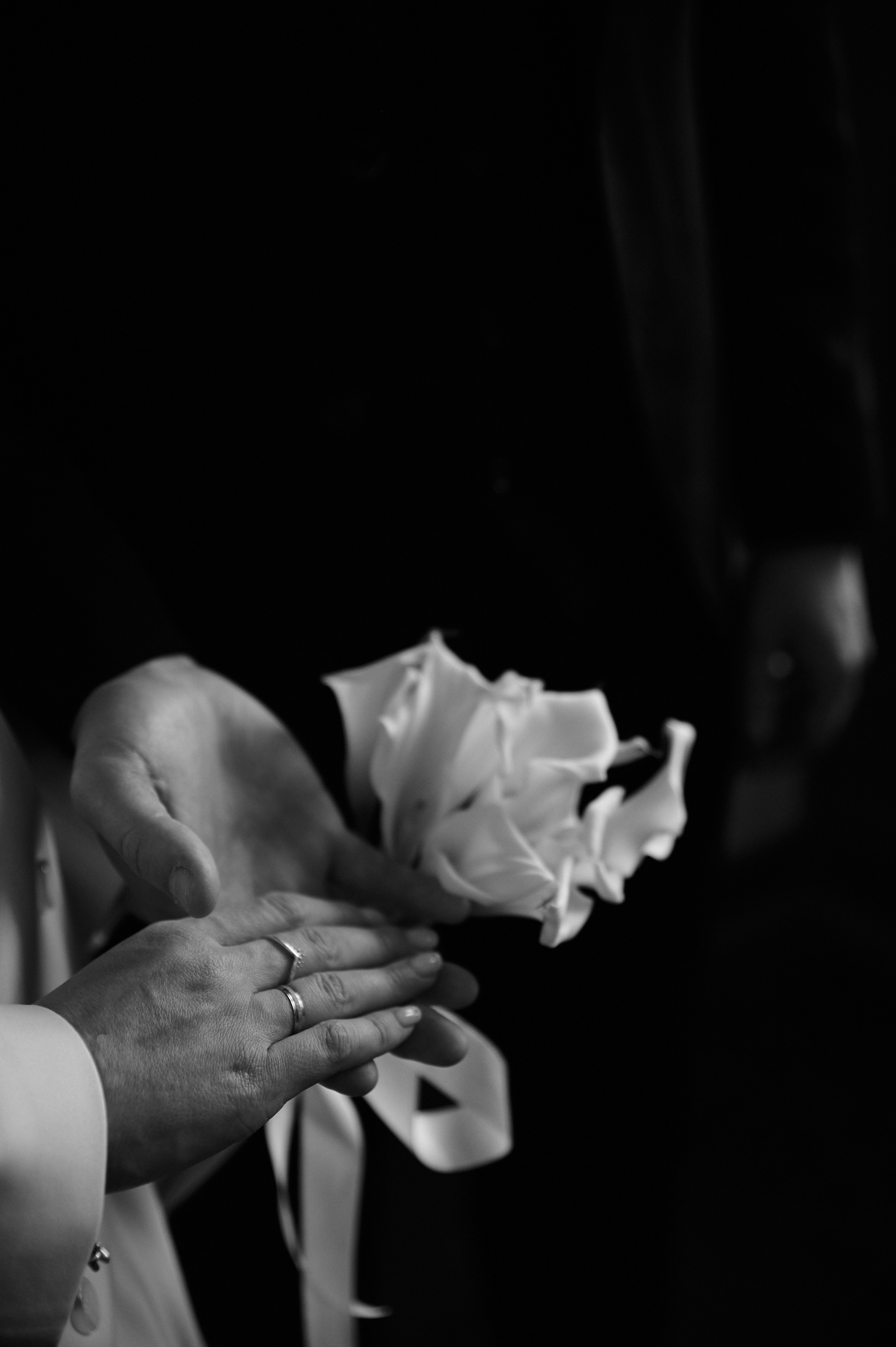 СВАДЬБА. Фотограф Александра Рогожкина