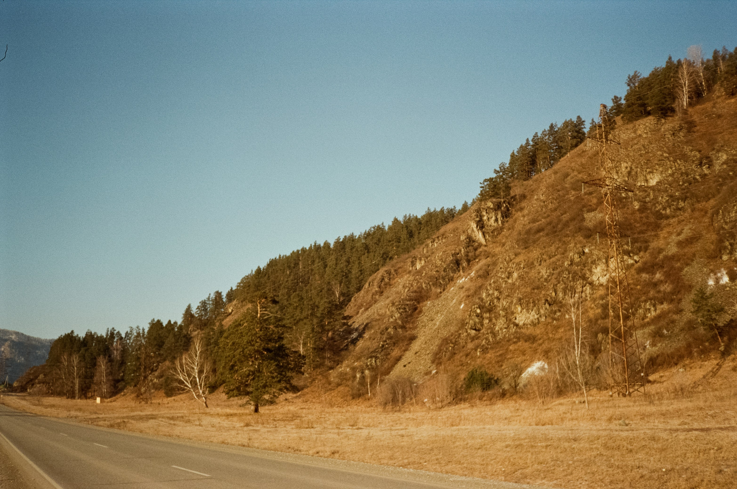 Дорога до Coffee Bus по Чемальскому тракту и Кедровый остров. Фотограф-документалист Мария Осокина