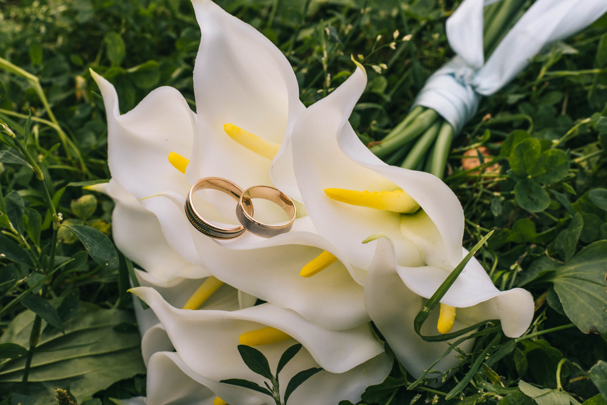 Свадьба. Свадебный и семейный фотограф в Москве Анастасия. Помогу вам быть собой и создам теплые, живые фотографии. Семейный фотограф в Дмитрове