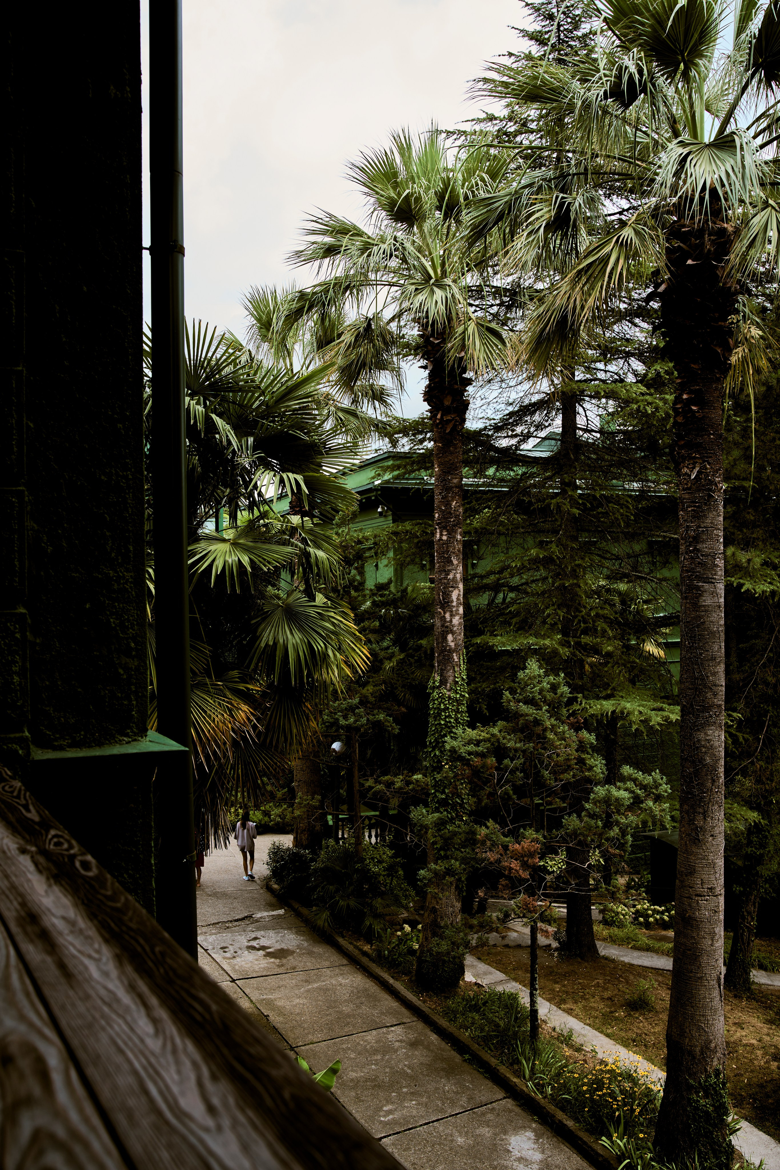 СОЧИ. Студийный фотограф в Екатеринбурге Бшари Заана