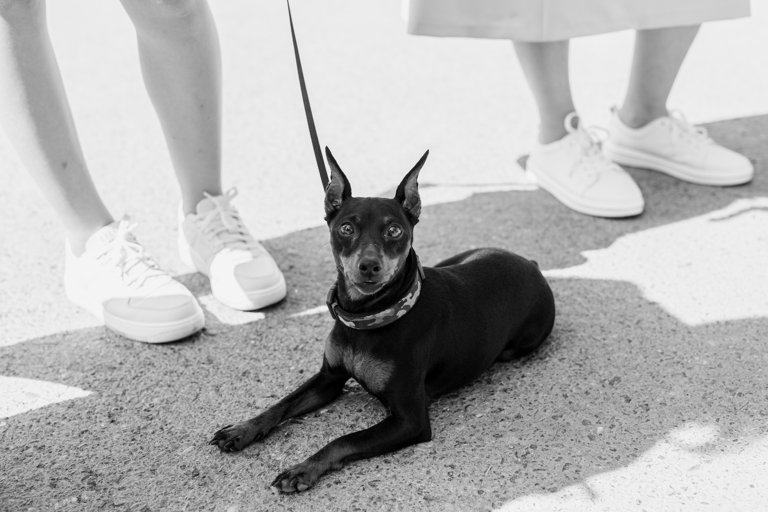 Дима+Кристина. Индивидуальные и семейные съёмки в Уфа Маргарита Истомина