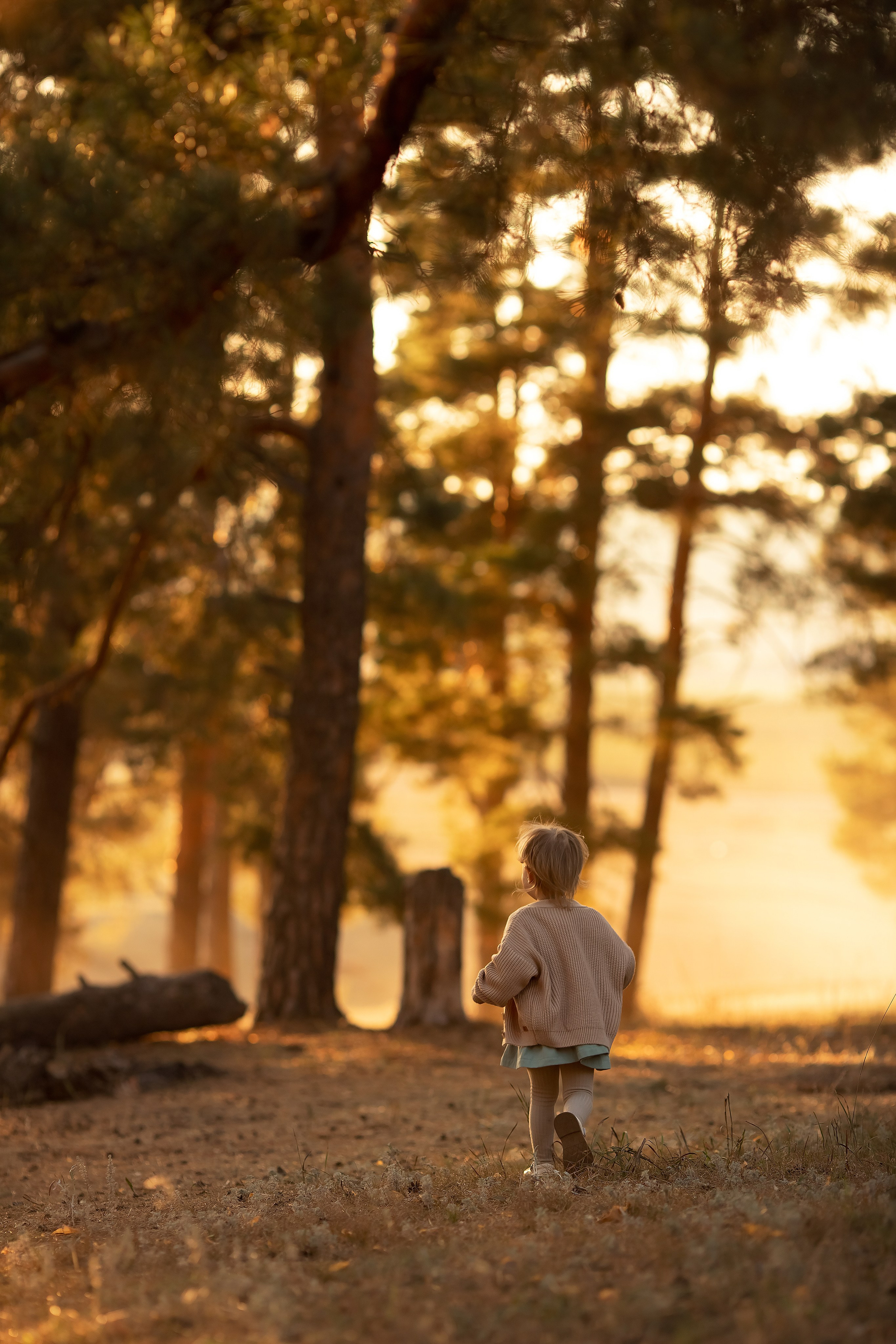 Лесная прогулка. Семейный и детский фотограф в Саратове Полина Коткина