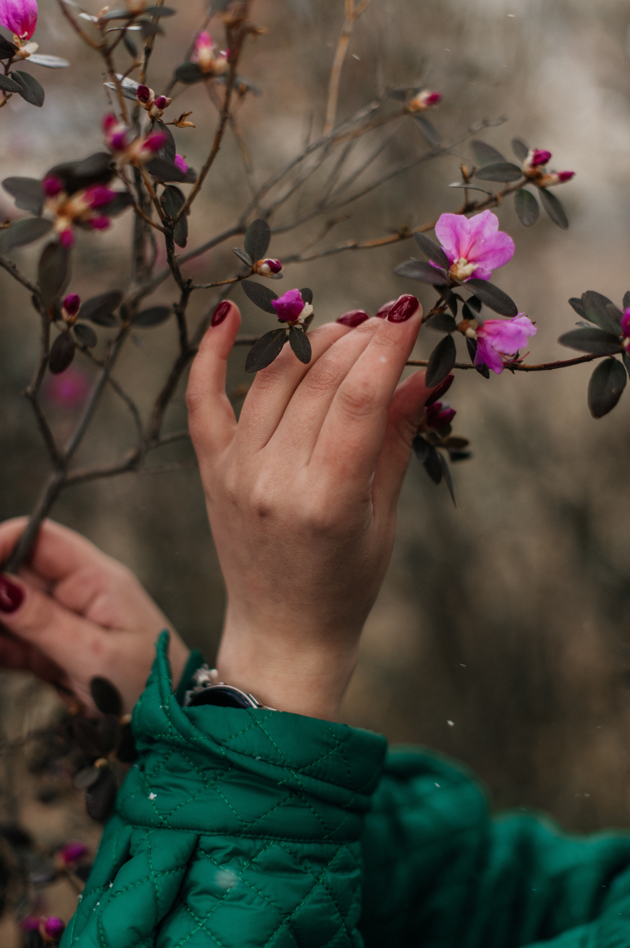 Love story. Митя Ксения. Свадебная  съемка на Алтае
