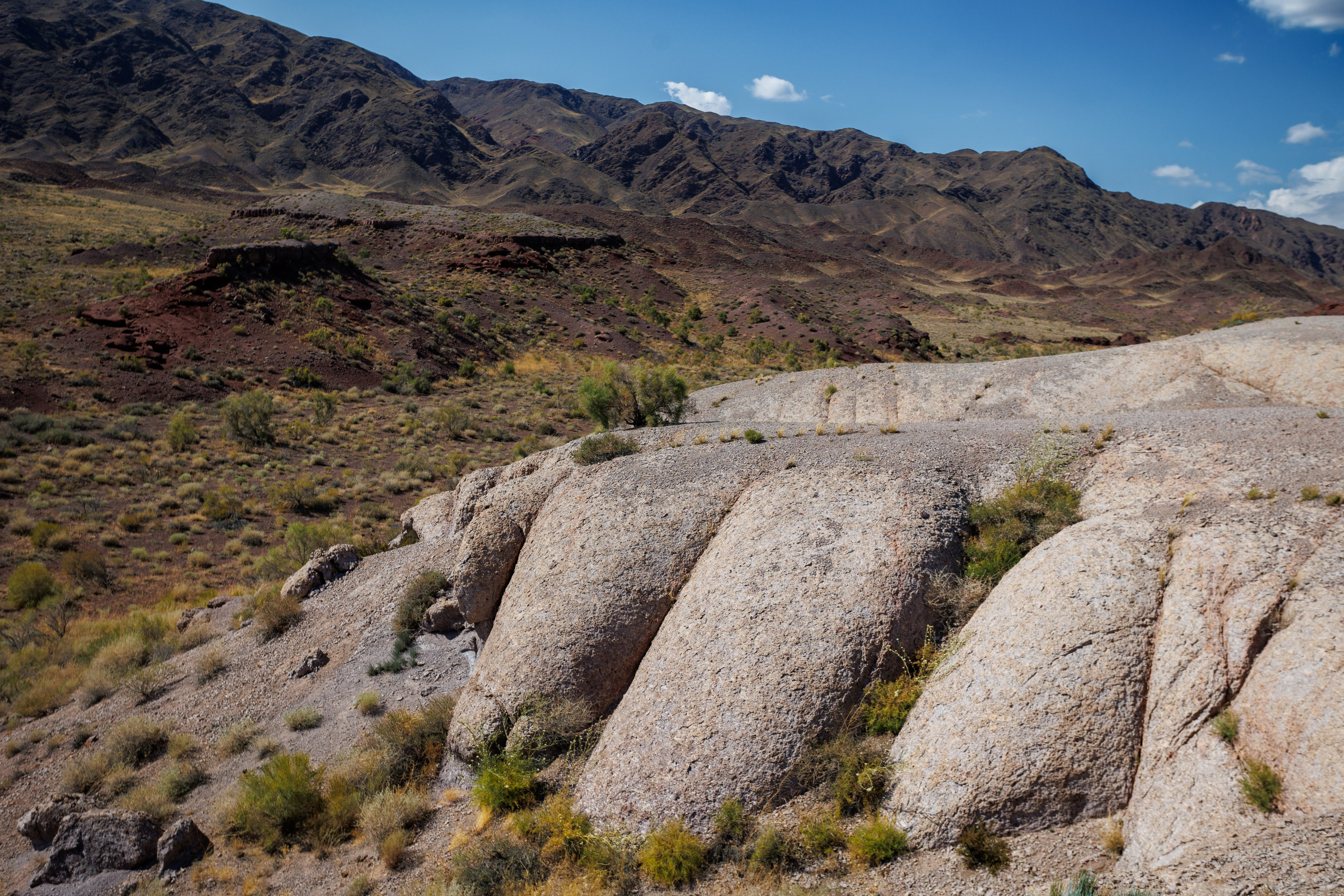 Алтын Эмель. Экскурсии и туры по Алматы