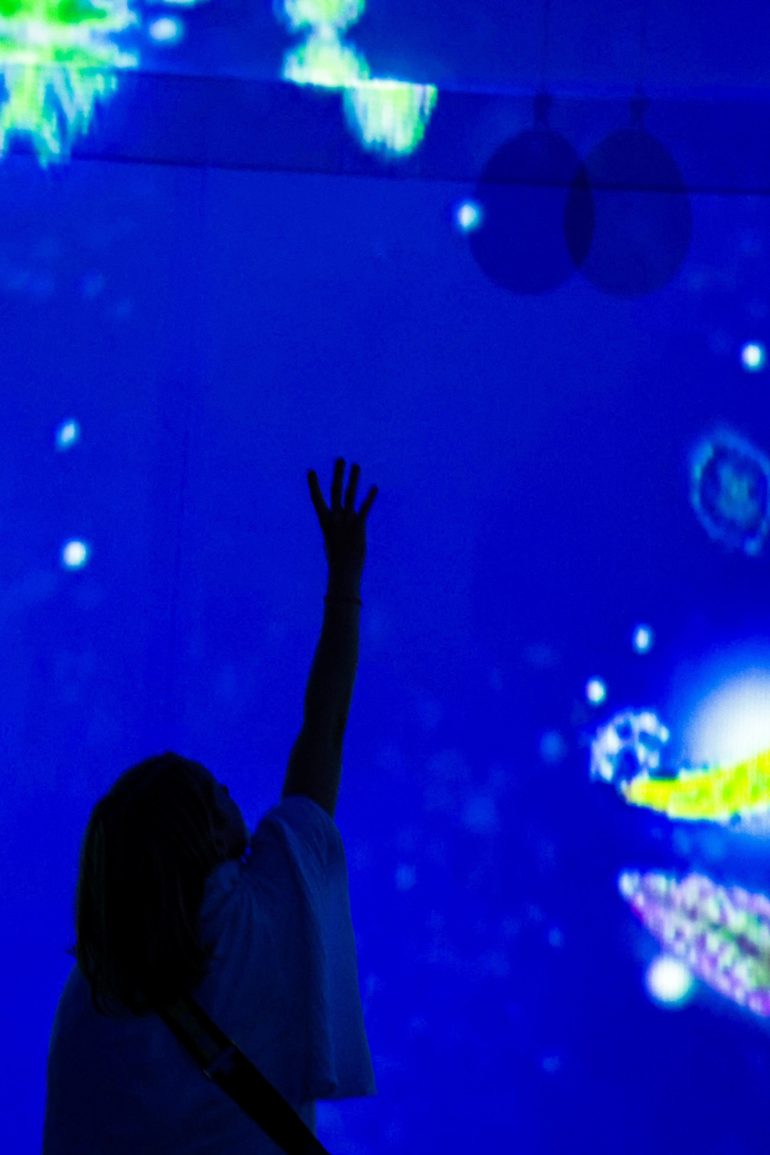 Nuit Blanche 2025. Portrait photographer based in Toronto — Blinova Mariia