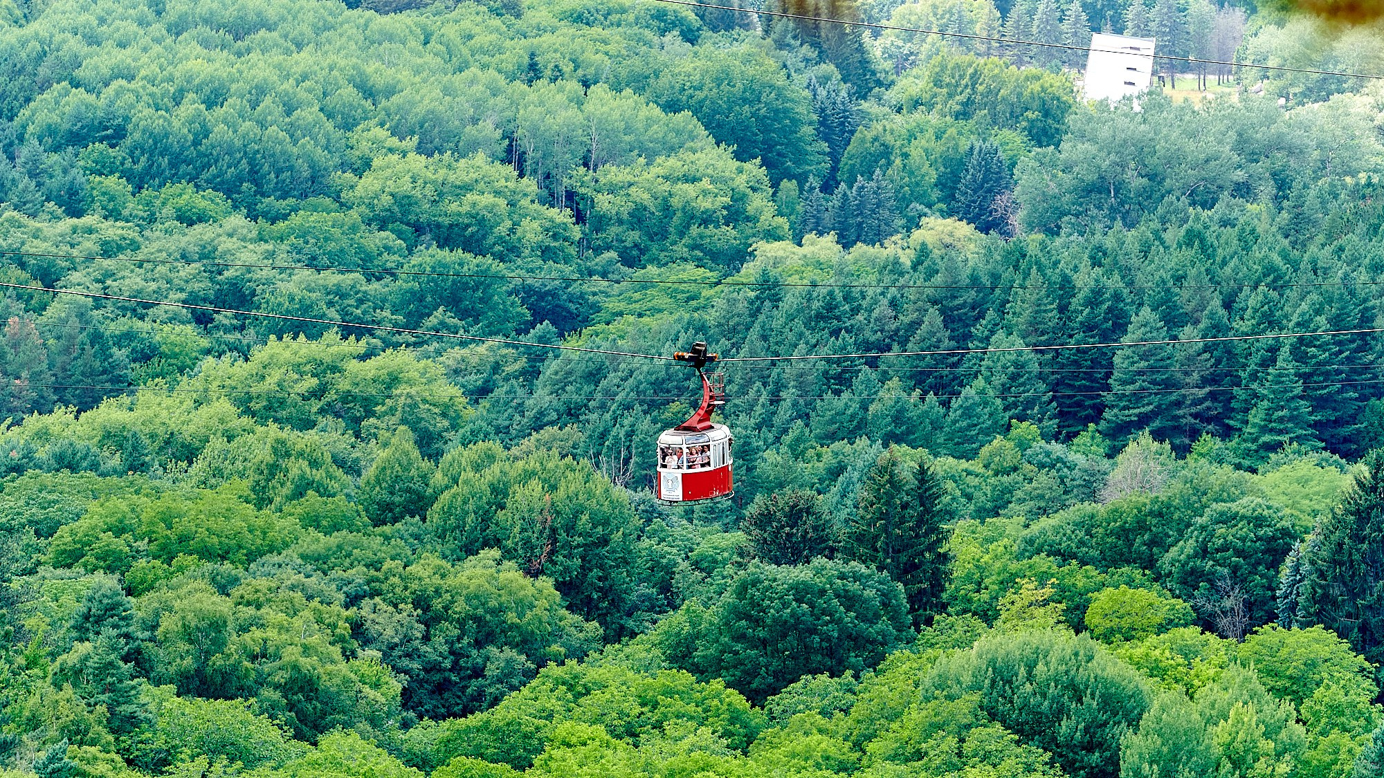 Кисловодск, Россия. Август 2024. Фотографии отовсюду и обо всем