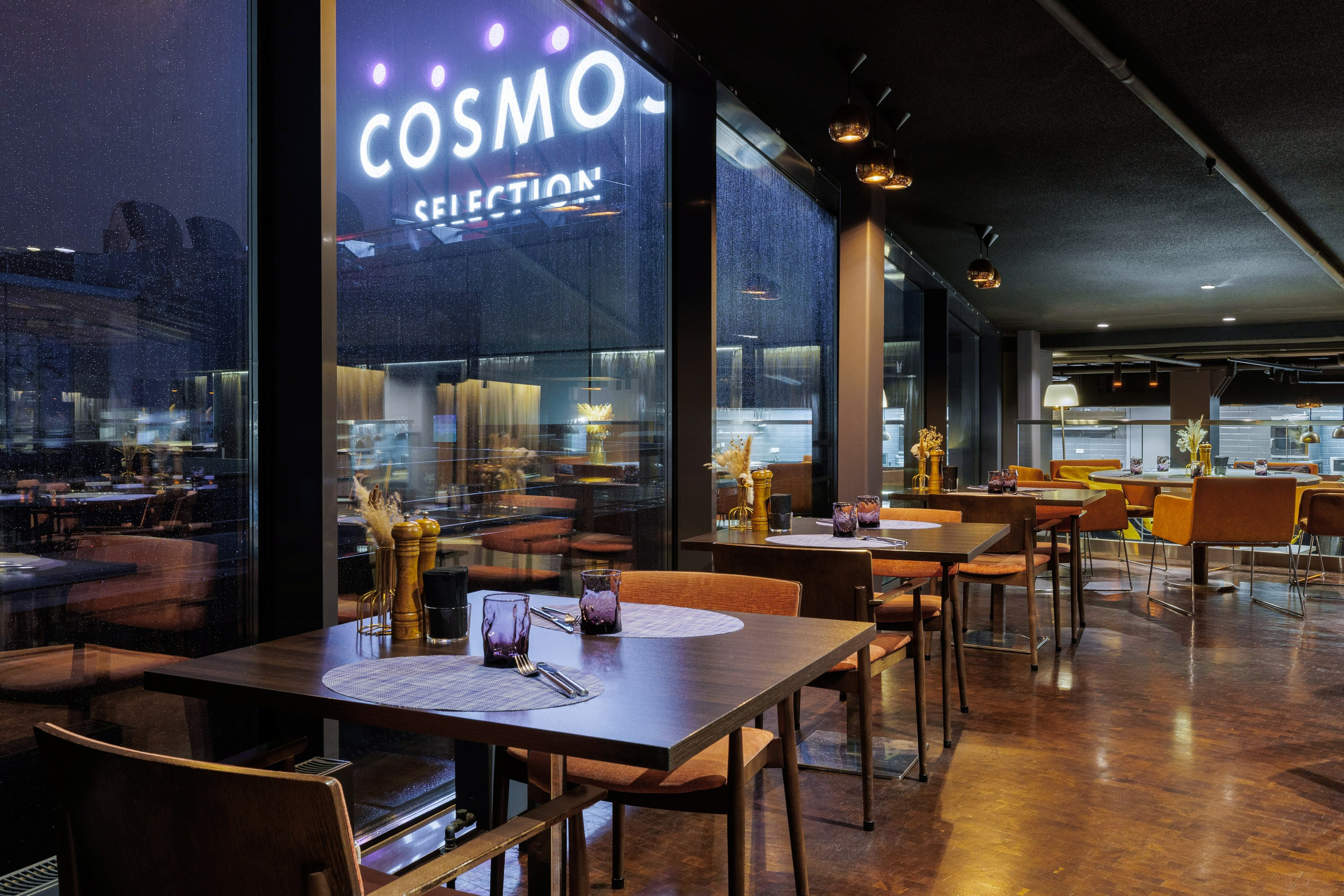 Cosmos Selection Moscow Sheremetyevo Airport Hotel