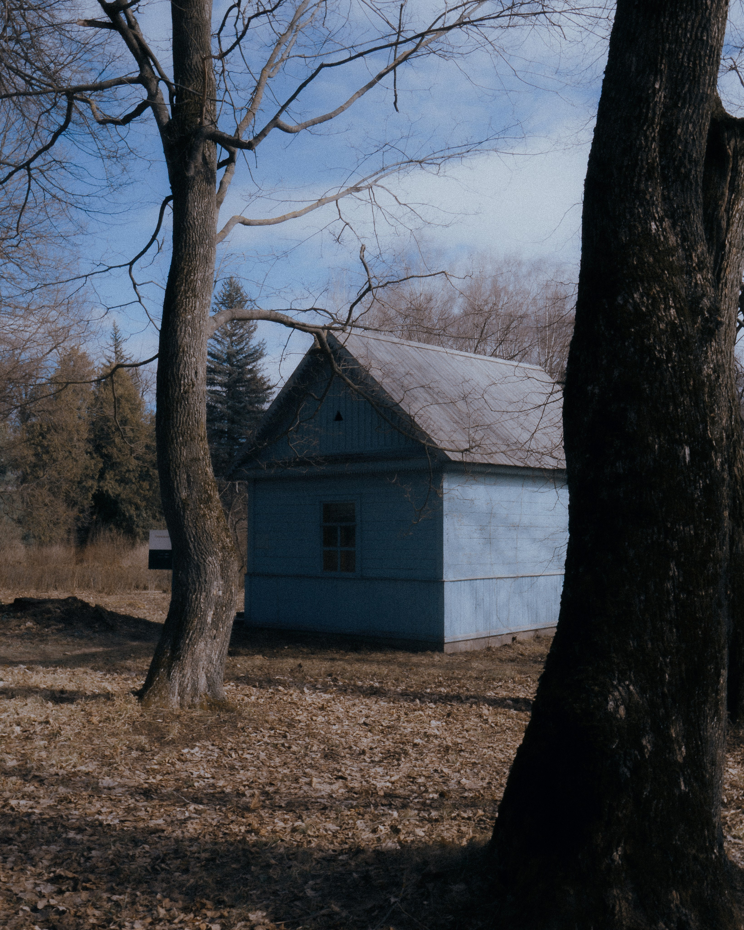 Тула '25. Фёдор Малюгин. Ваш бади в визуале