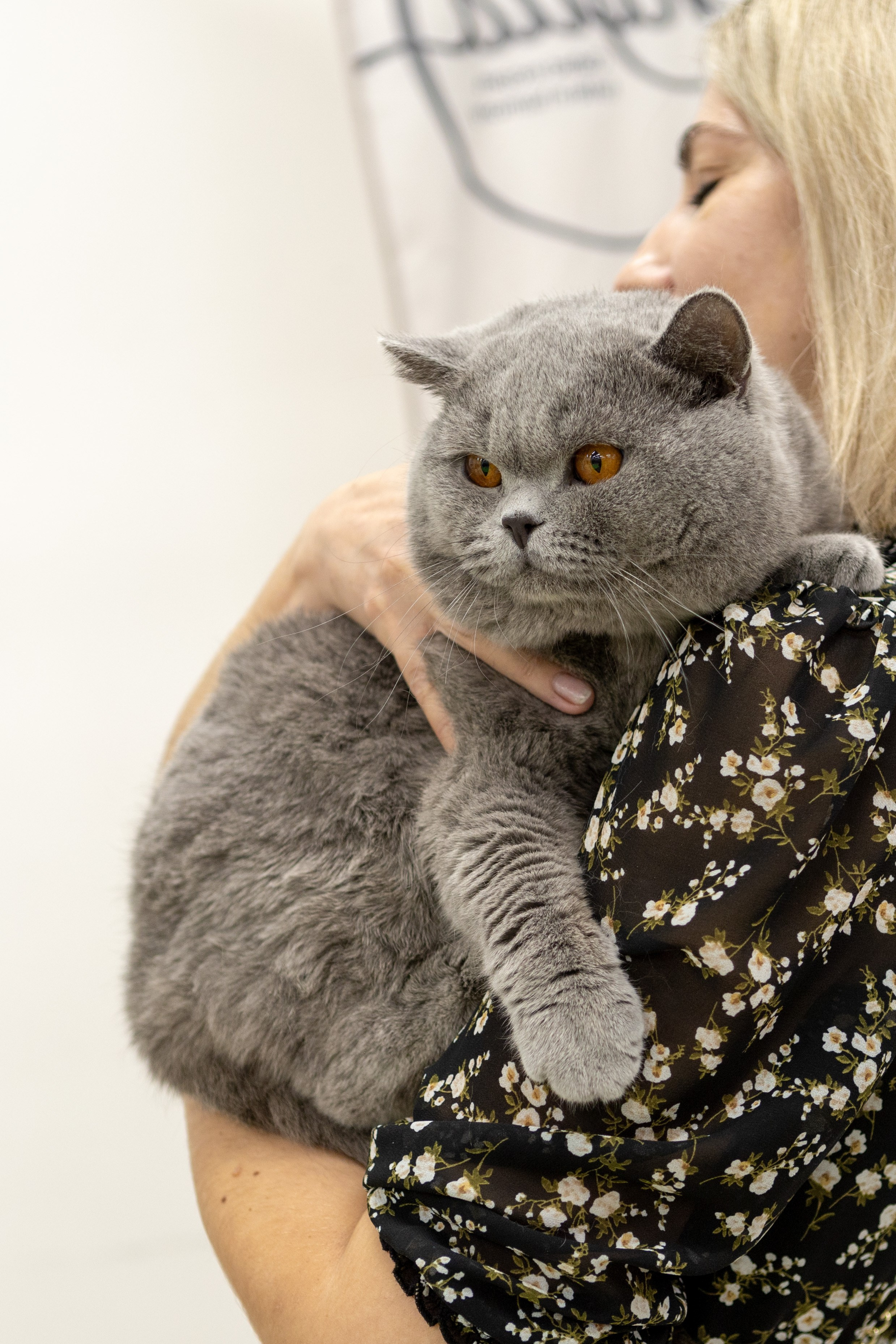 Кошки. Фотограф Яна Матвеева в Ижевске