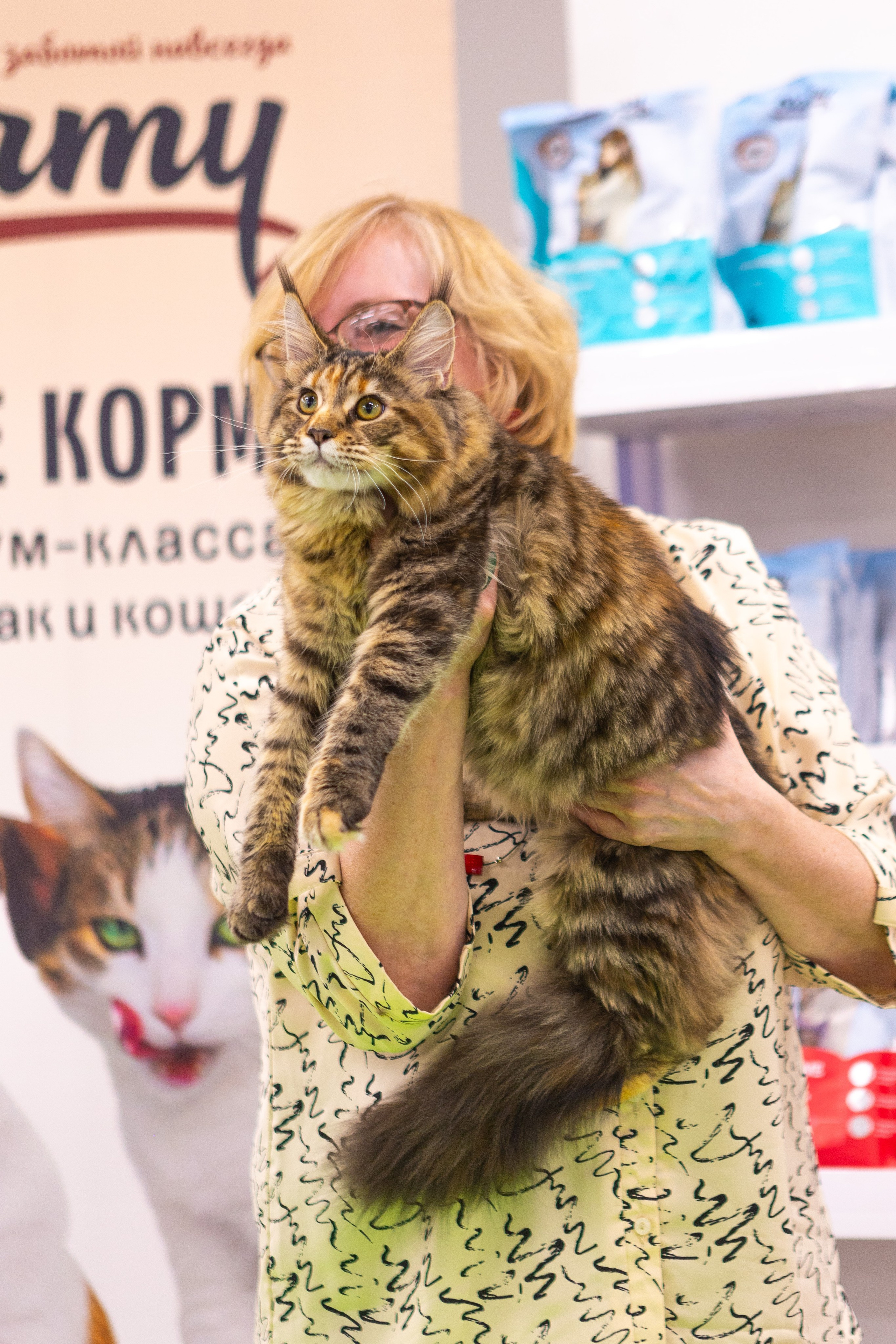 Кошки. Фотограф Яна Матвеева в Ижевске