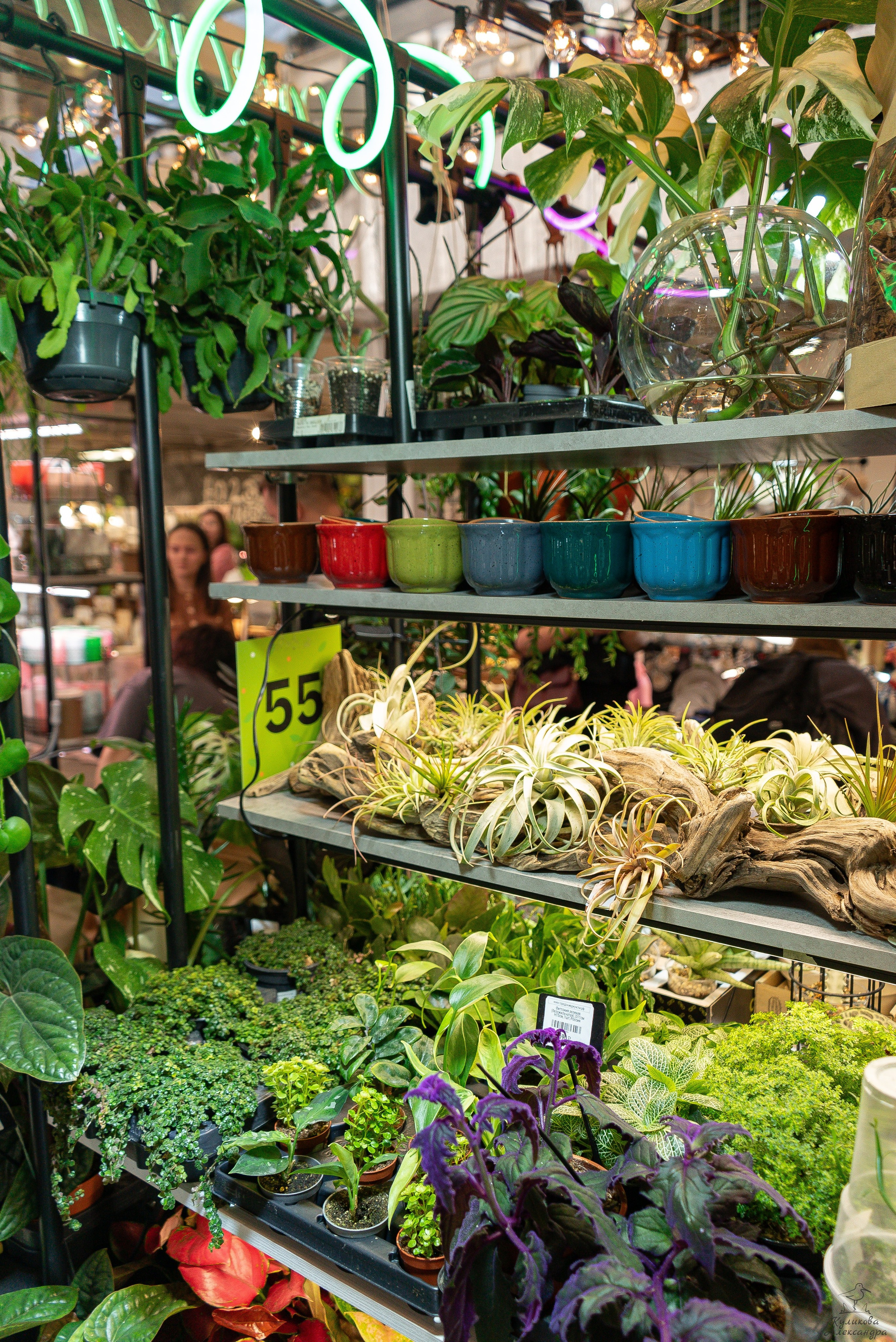 Гроубокс Артплей апрель. Александра Куликова фотограф, Москва