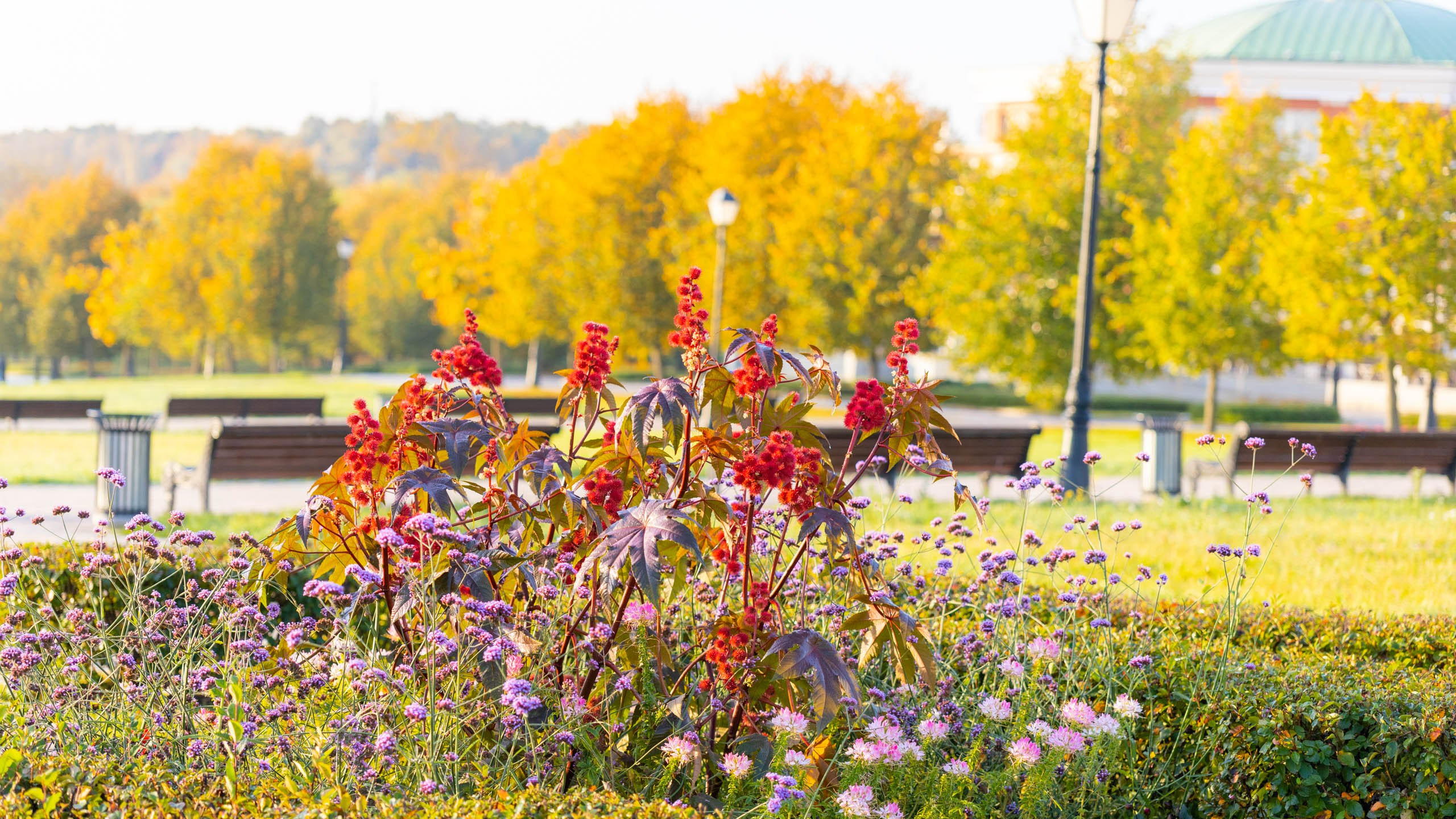 2023 09 Царицыно. Фотографии