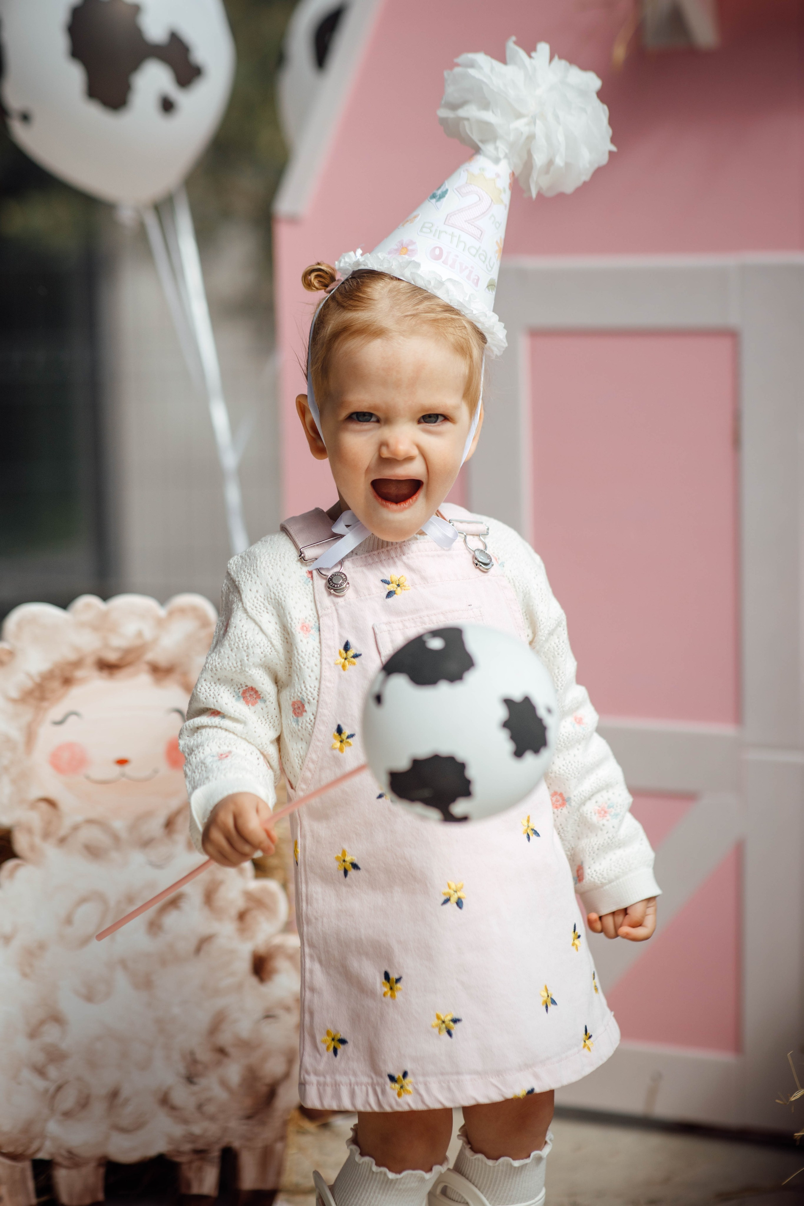 Репортаж дома, др