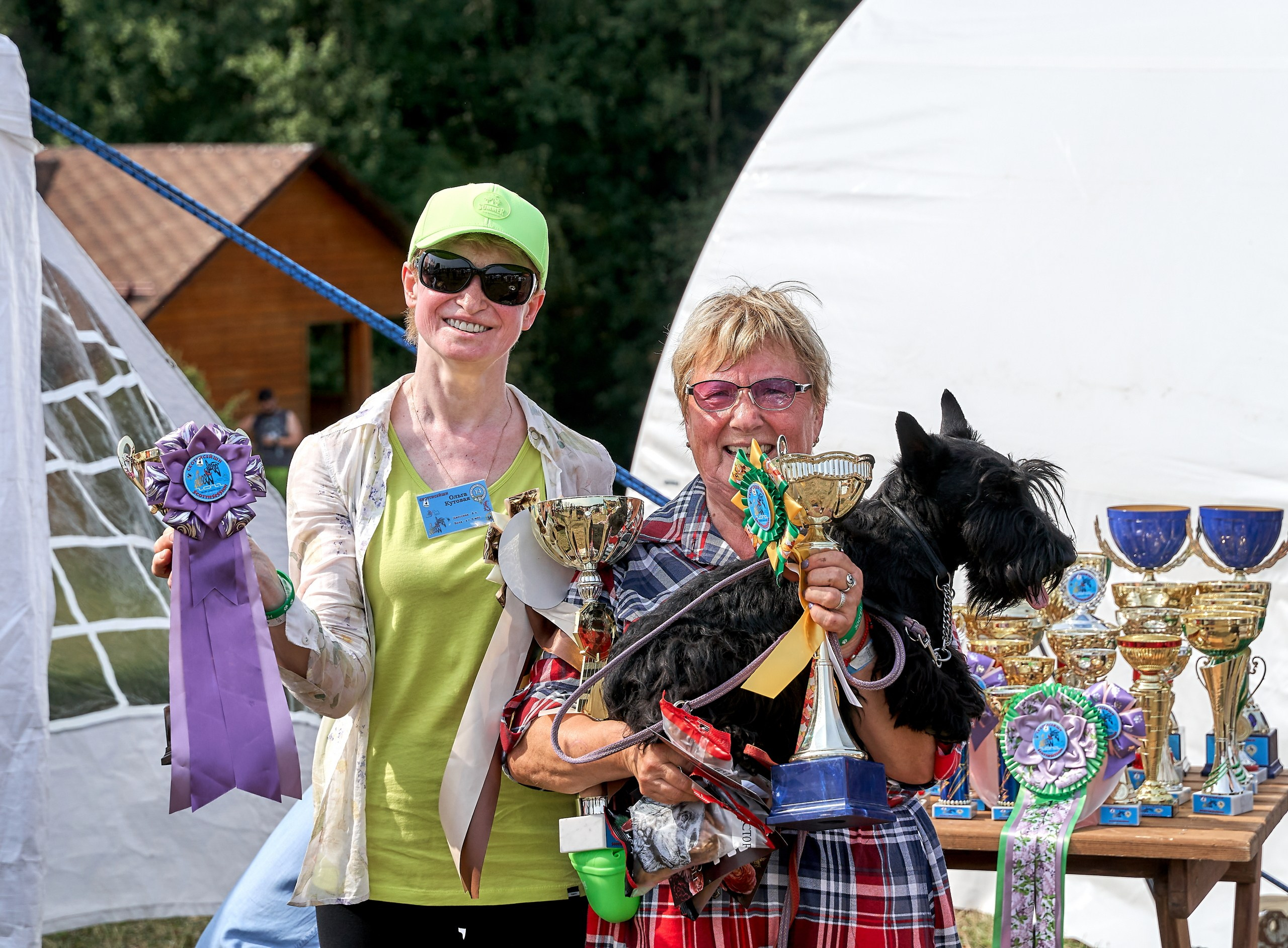 Мероприятия с собаками — галерея NATRIEL