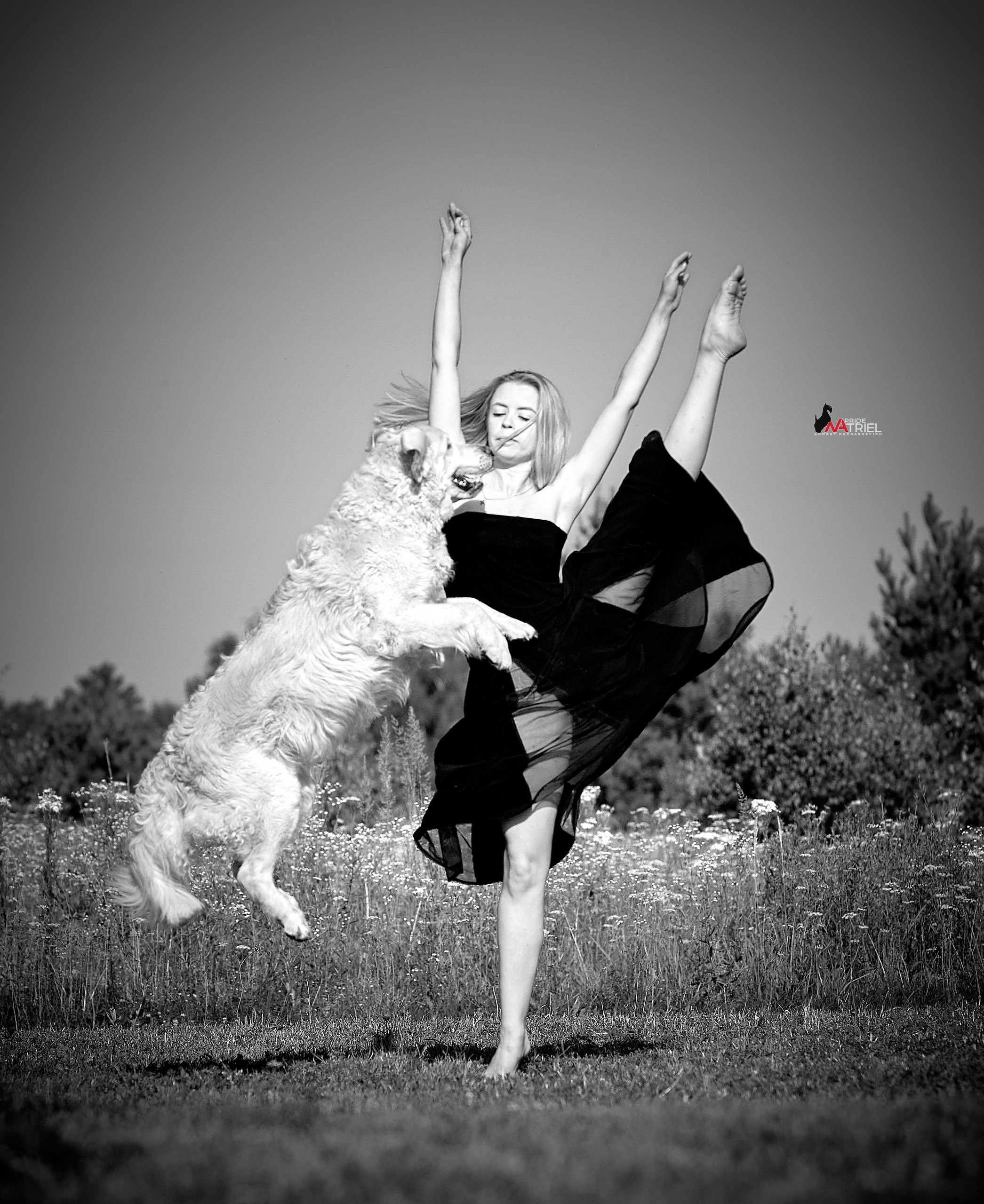 Обидиенс и танцы с собаками — галерея NATRIEL