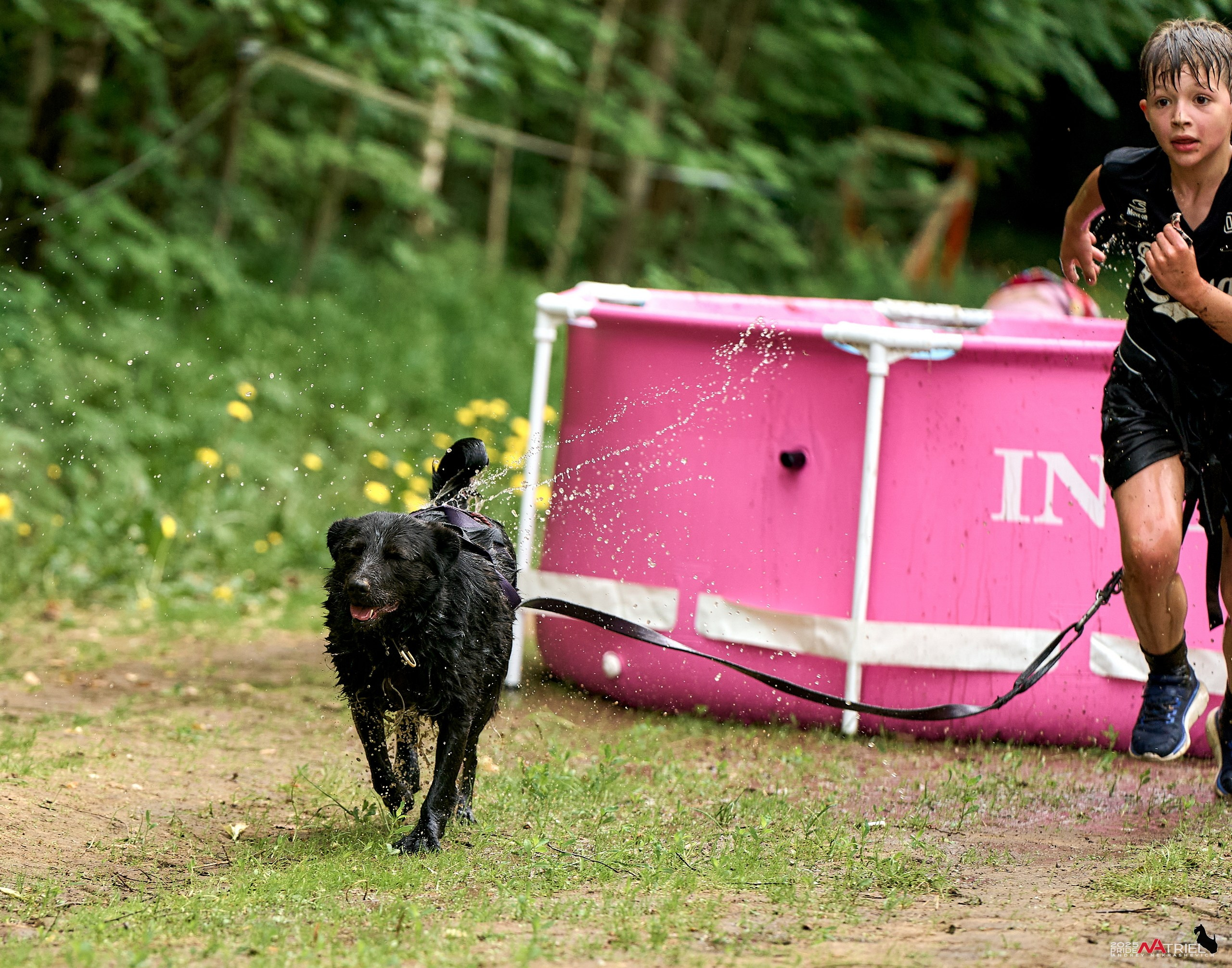 Russian Extreme Dog Trail — 2025