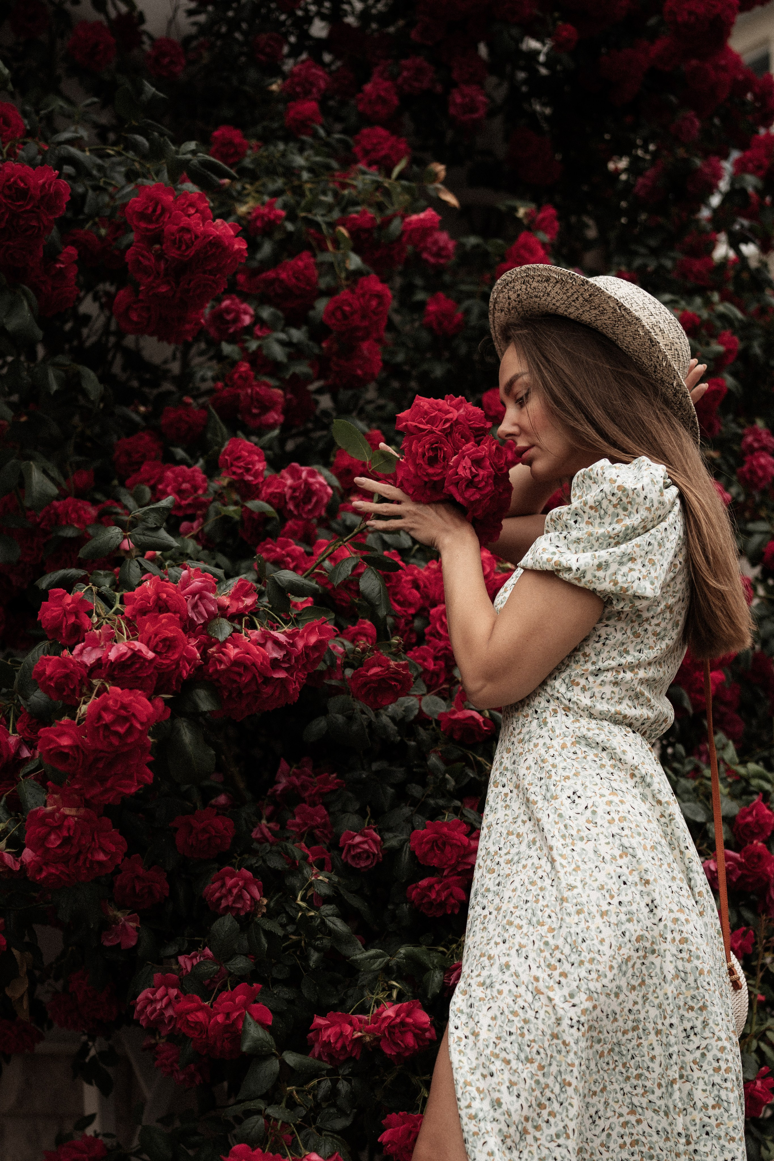 Лена розы. Дмитриева Светлана женский и семейный фотограф Рига, Москва, Геленджик