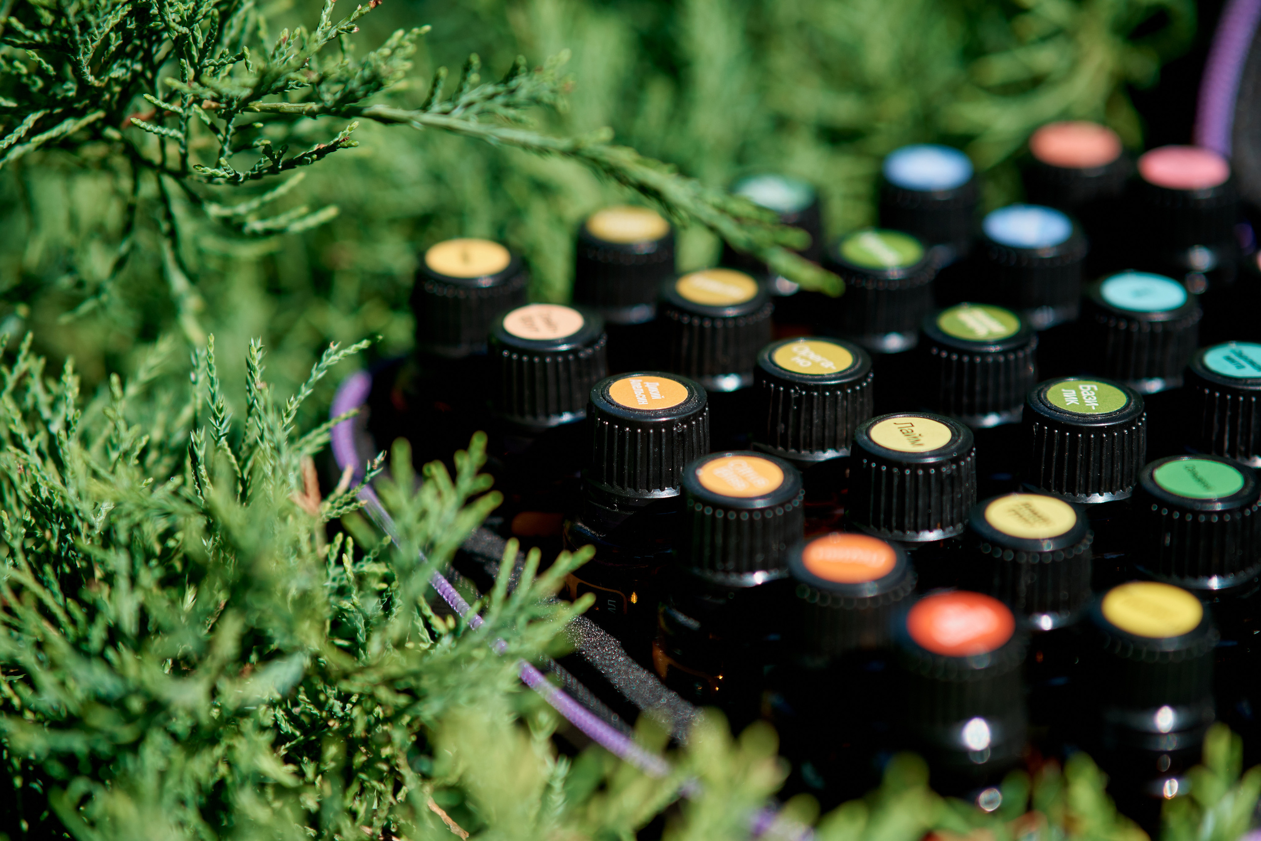 Аромаэксперт Елена Рябова. Фотограф Таганрог Анна Трайжон