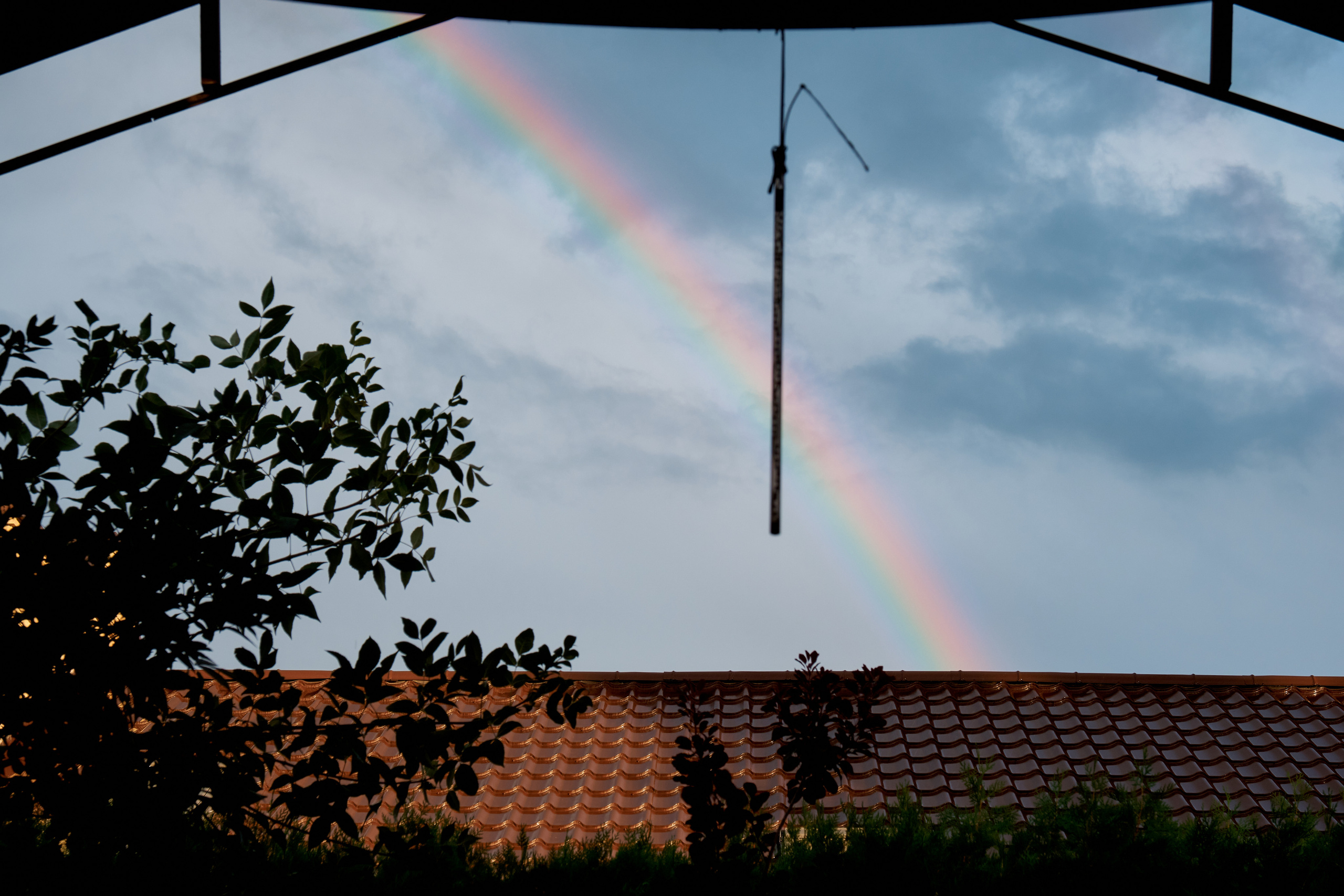Алексей и София. Фотограф Таганрог Анна Трайжон