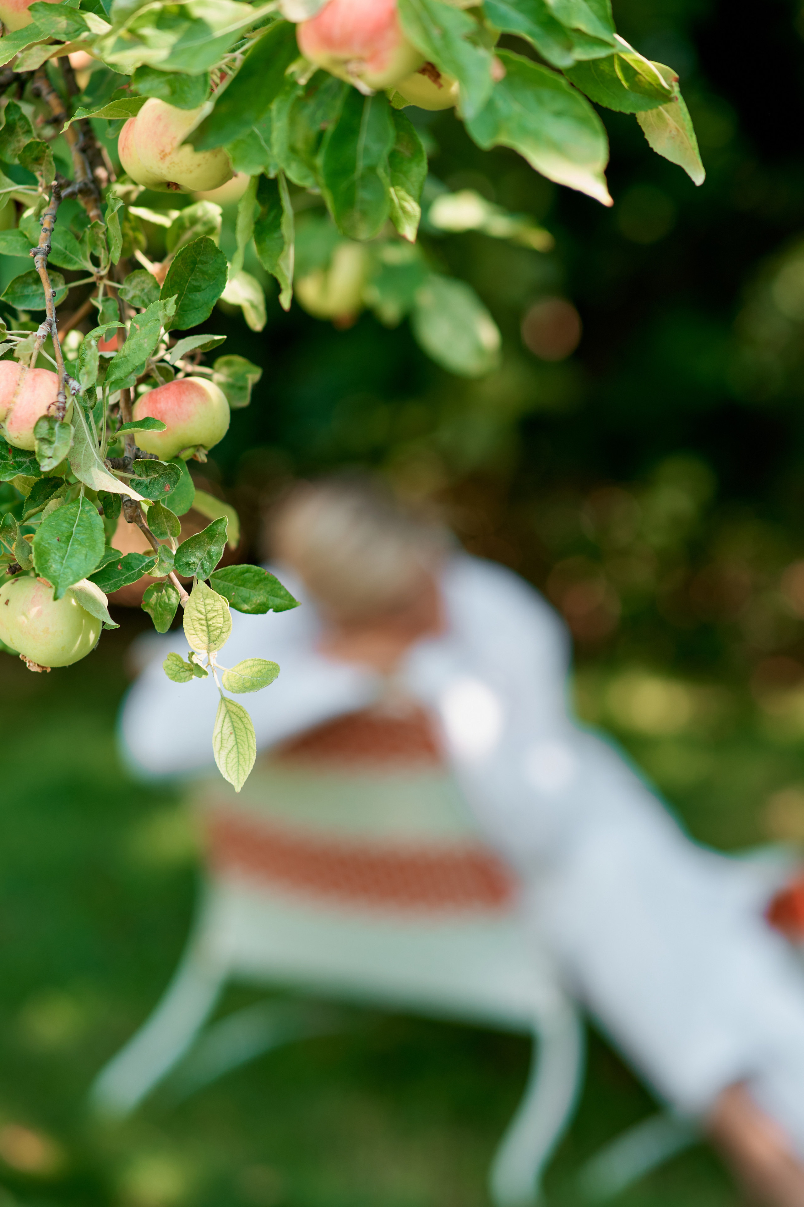 Аромаэксперт Елена Рябова. Фотограф Таганрог Анна Трайжон