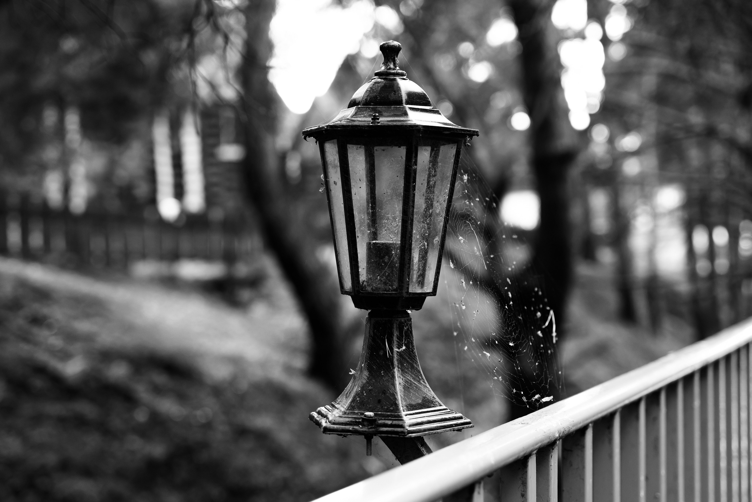 Случайные моменты. Бжицких Виталий — фотограф г. Ульяновск