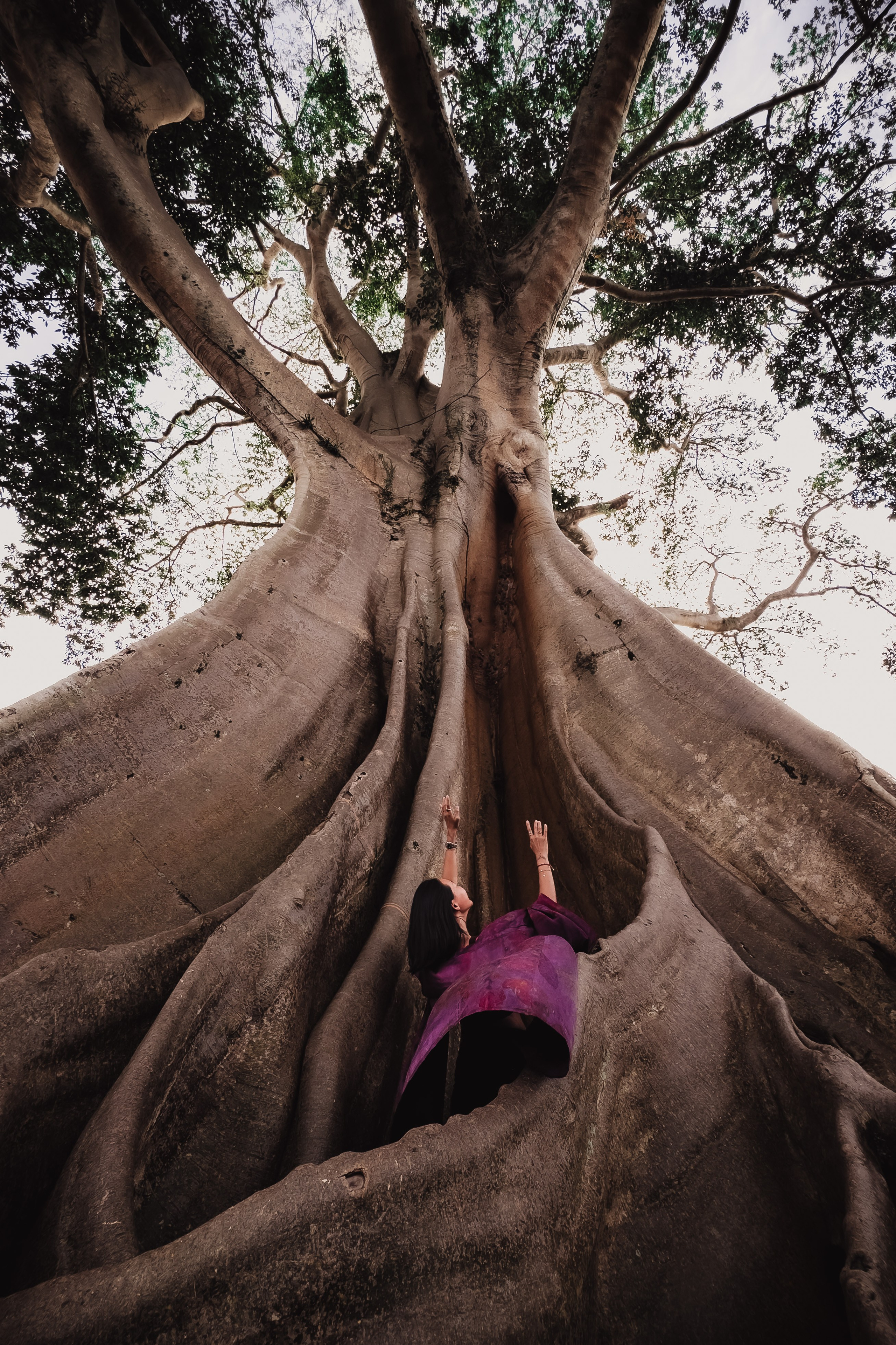 Banyan date. Mariam Bagdasaryan
