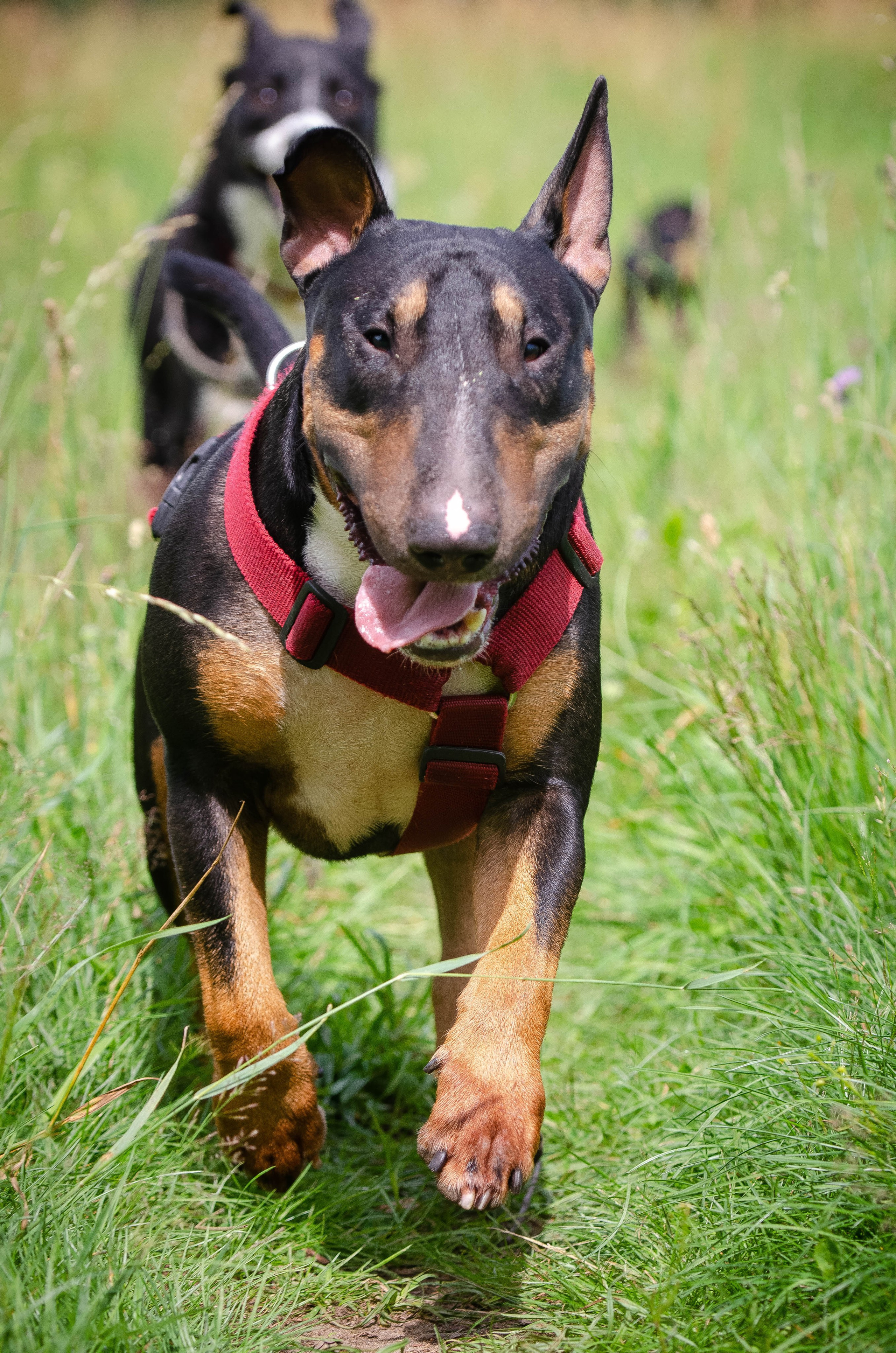 Прогулка (Лохин остров). Фотограф Светлана Блинова, Москва и Московская область