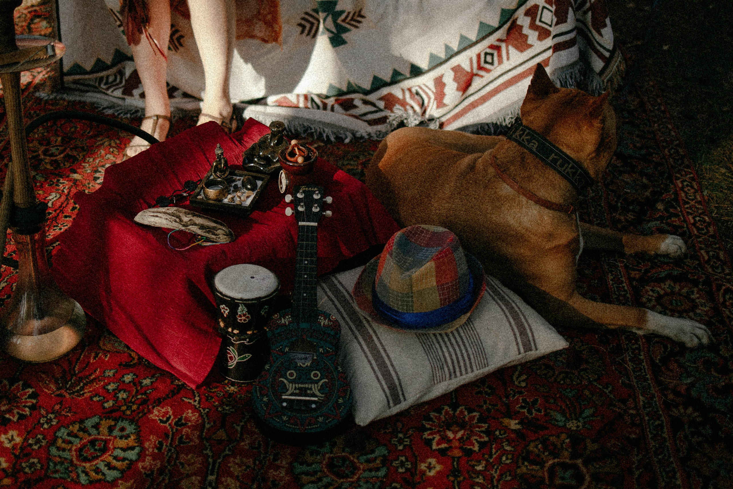 Фестиваль Hello Camper закрытие 2023. Репортажный и портретный фотограф в Санктпетербурге. Видиосъемка мероприятий в Санкт-Петербурге