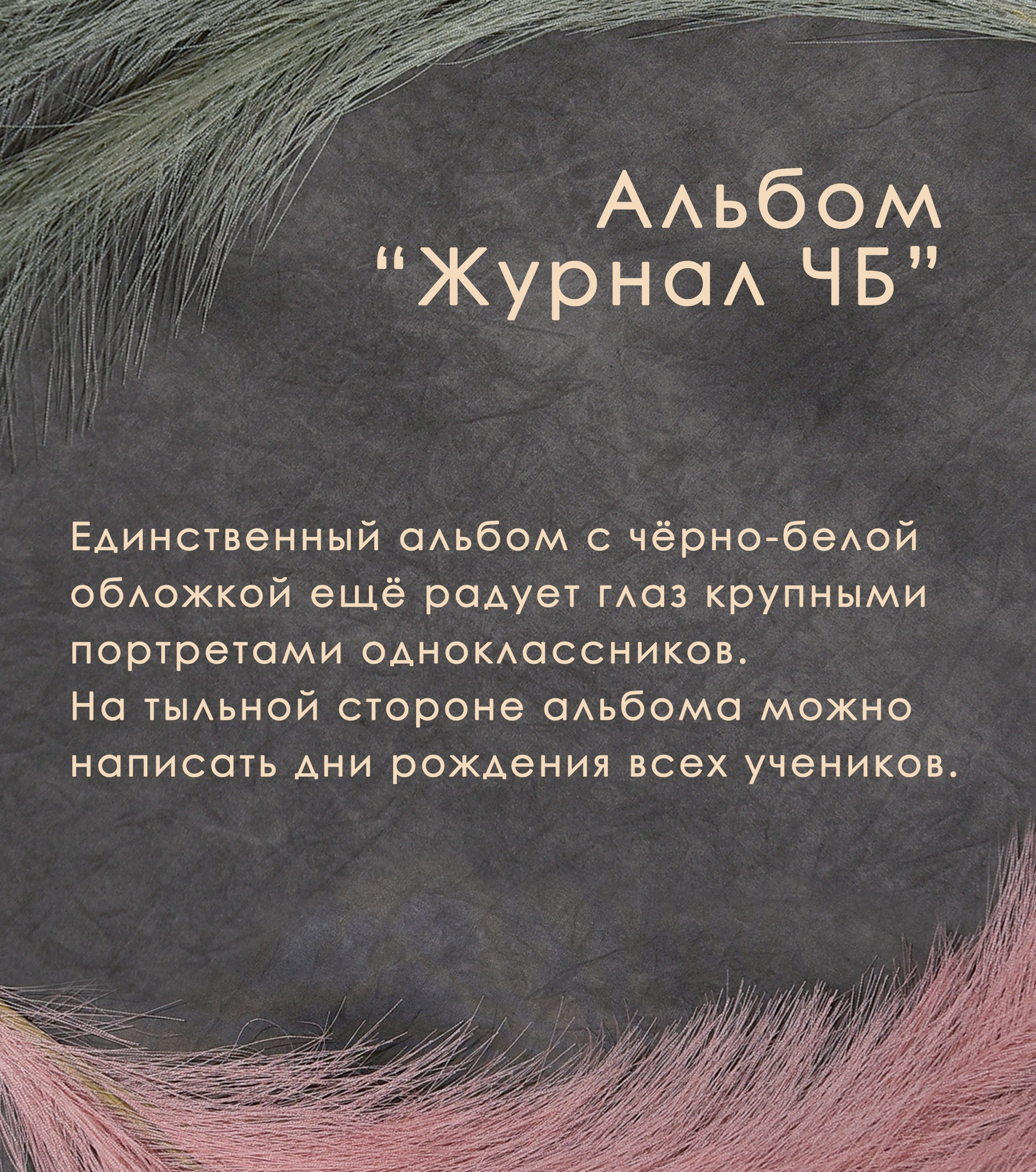 Журнал ЧБ. Фотограф Гончарова Анна г. Можайск