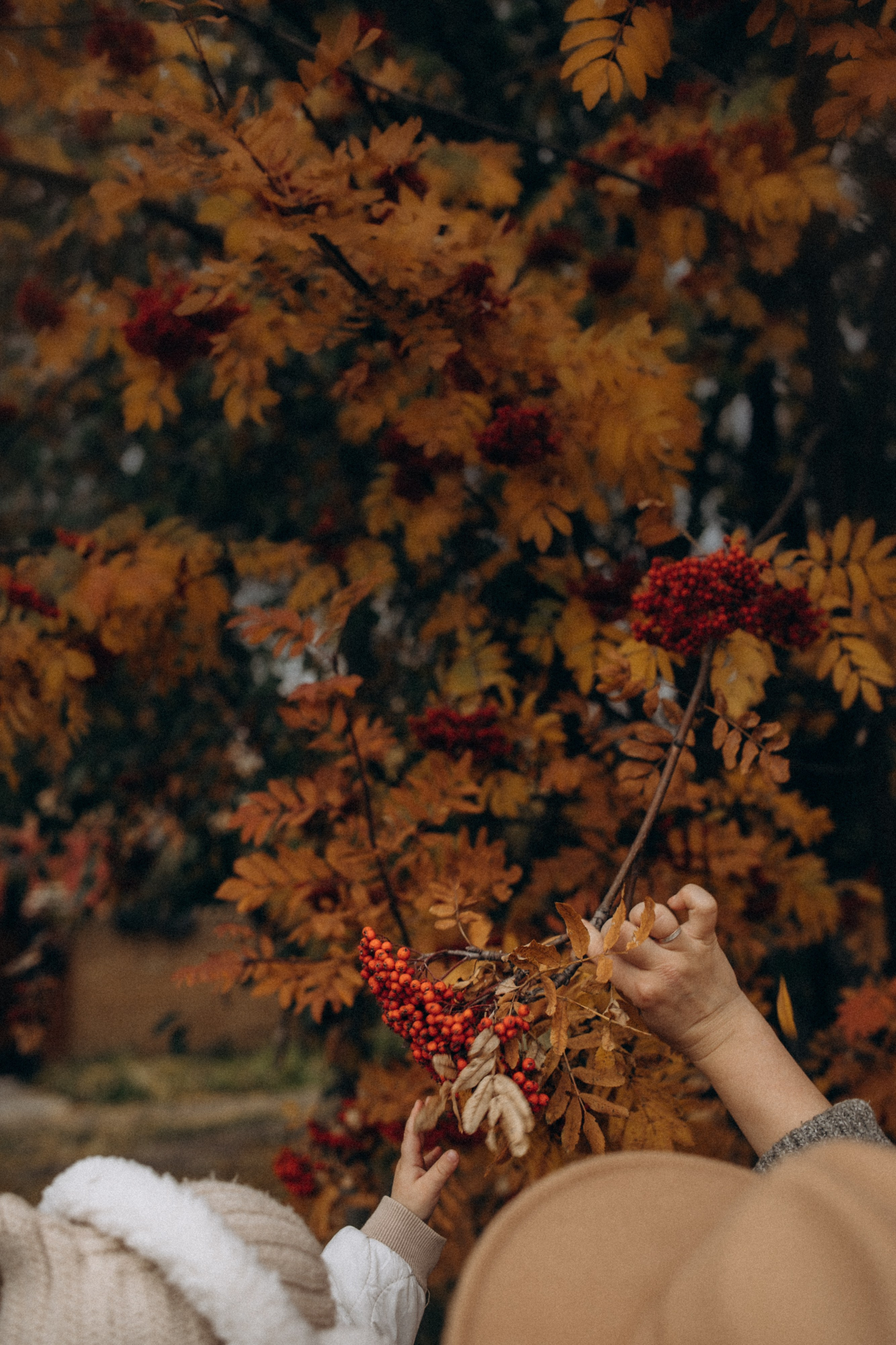 Осенняя история. Фотограф в Тюмени Пушкарева Анастасия