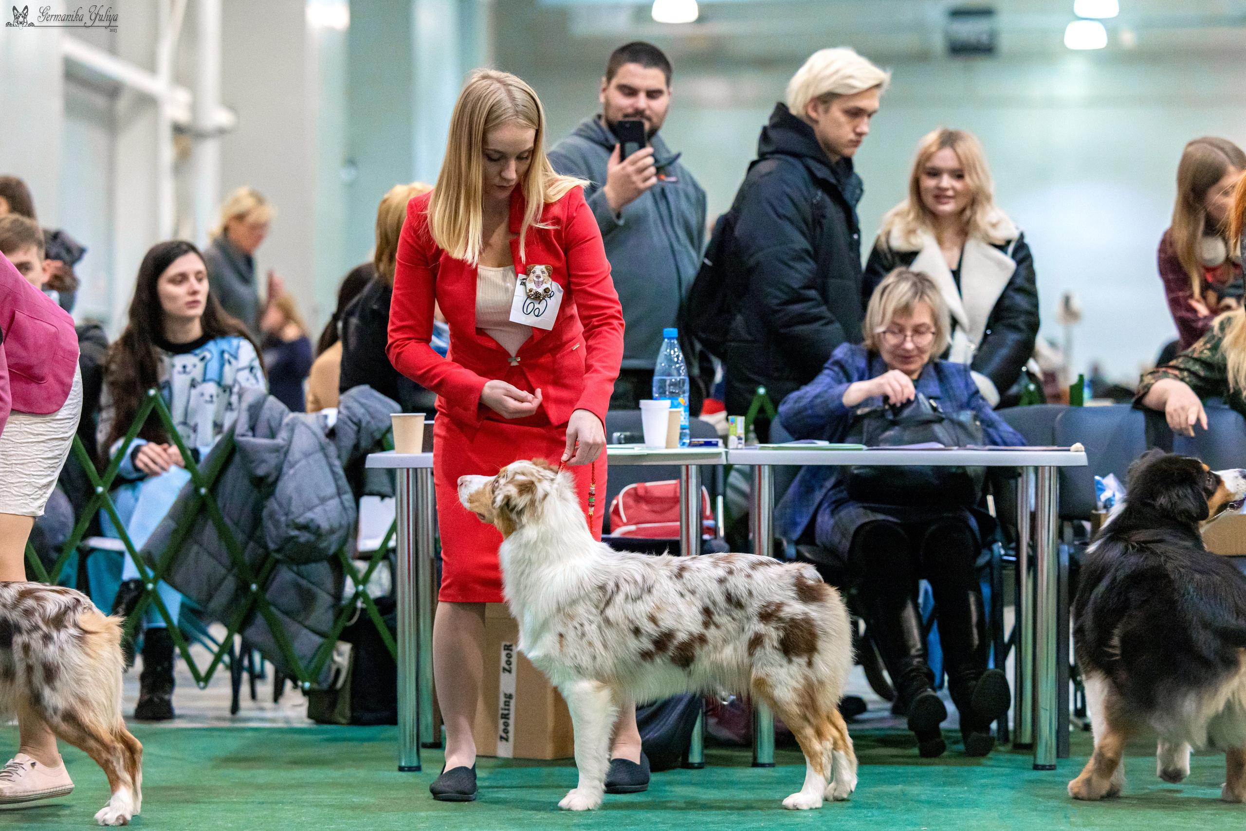 Крокус 3,9 и 10.12.2023. Фотограф-анималист Юлия Германика