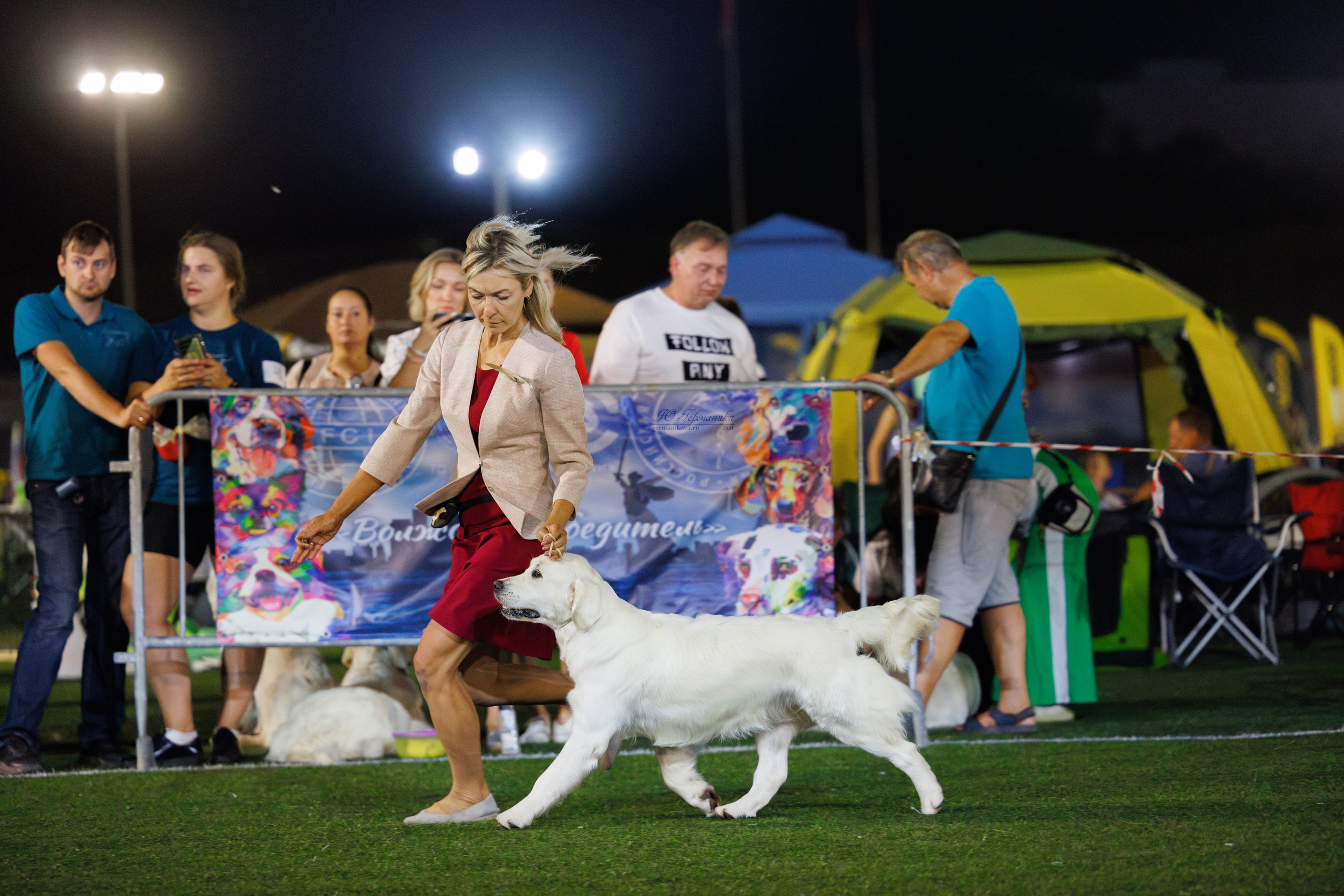 Волгоград 2-4.08.2024. Фотограф-анималист Юлия Германика