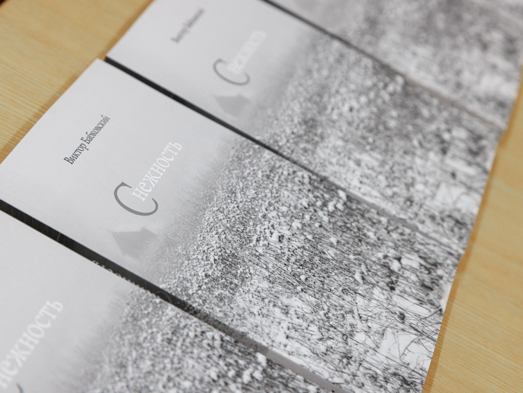 Презентация книги В. Н. Бабковского «Снежность». Фотограф Юлия Близнецова