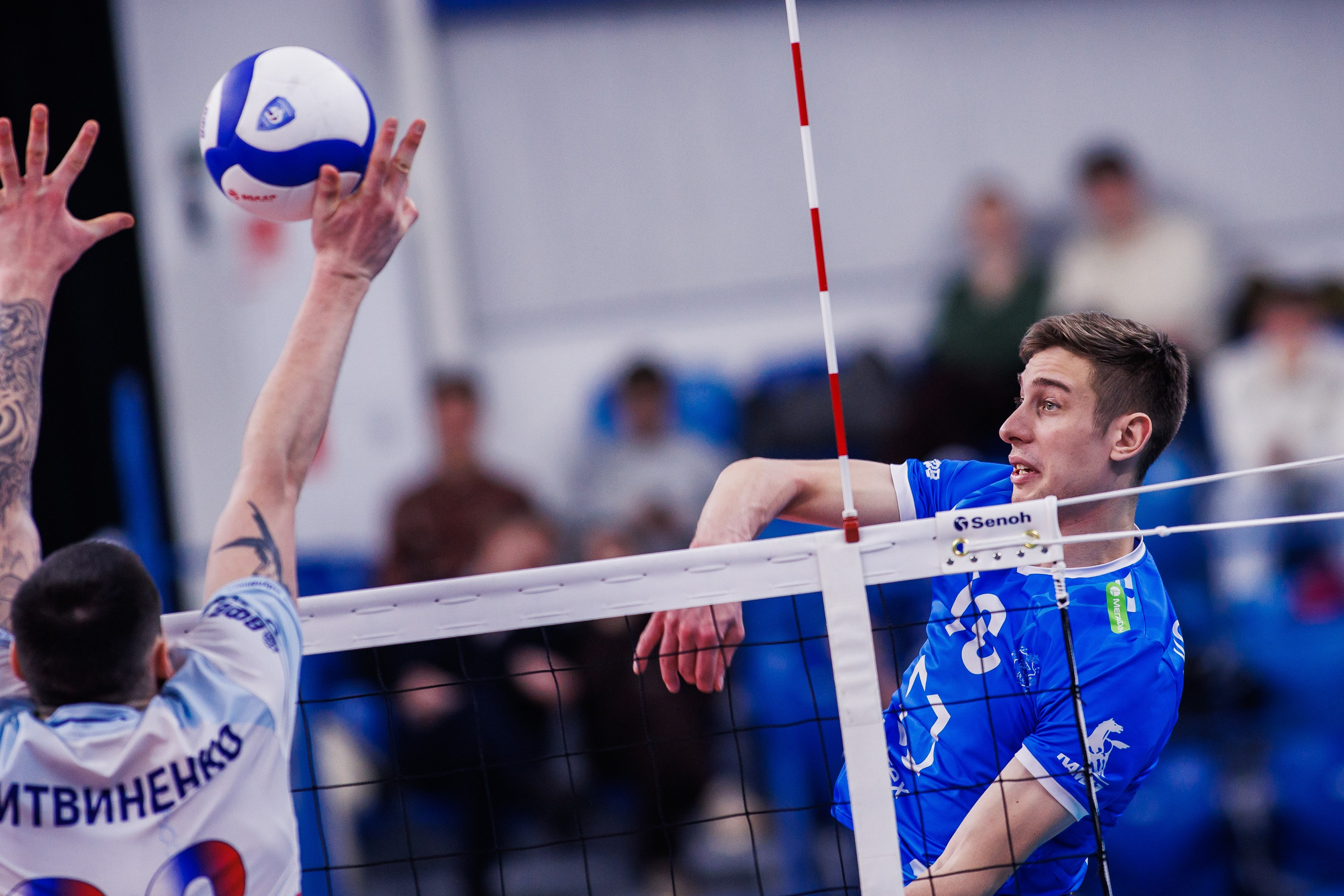 ВК Динамо 2025/26. Photographer Danil Aykin